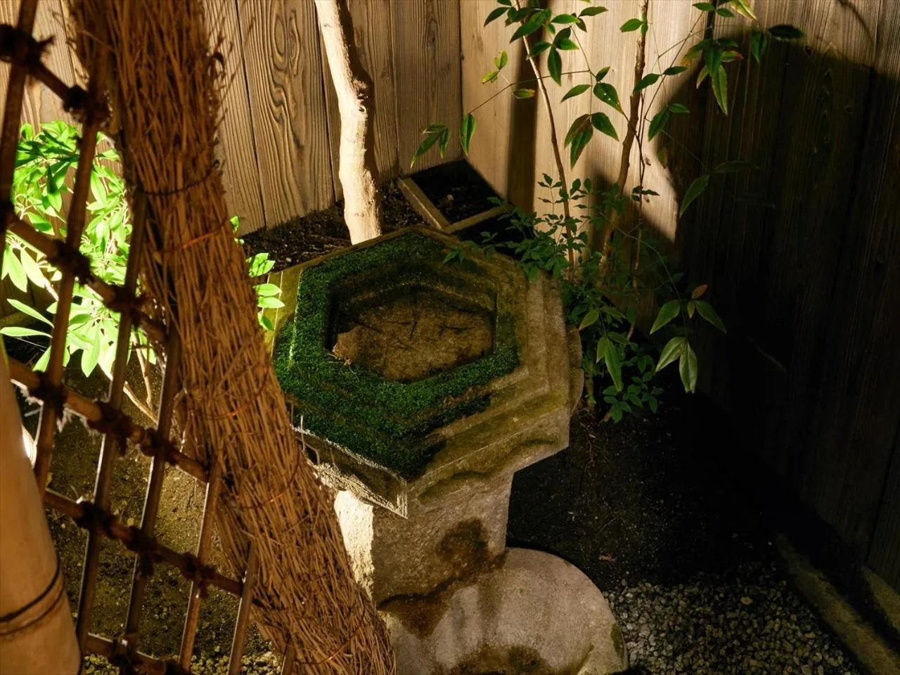 Garden in Kikyo-an Cozy Private Machiya near JR Nijo Station