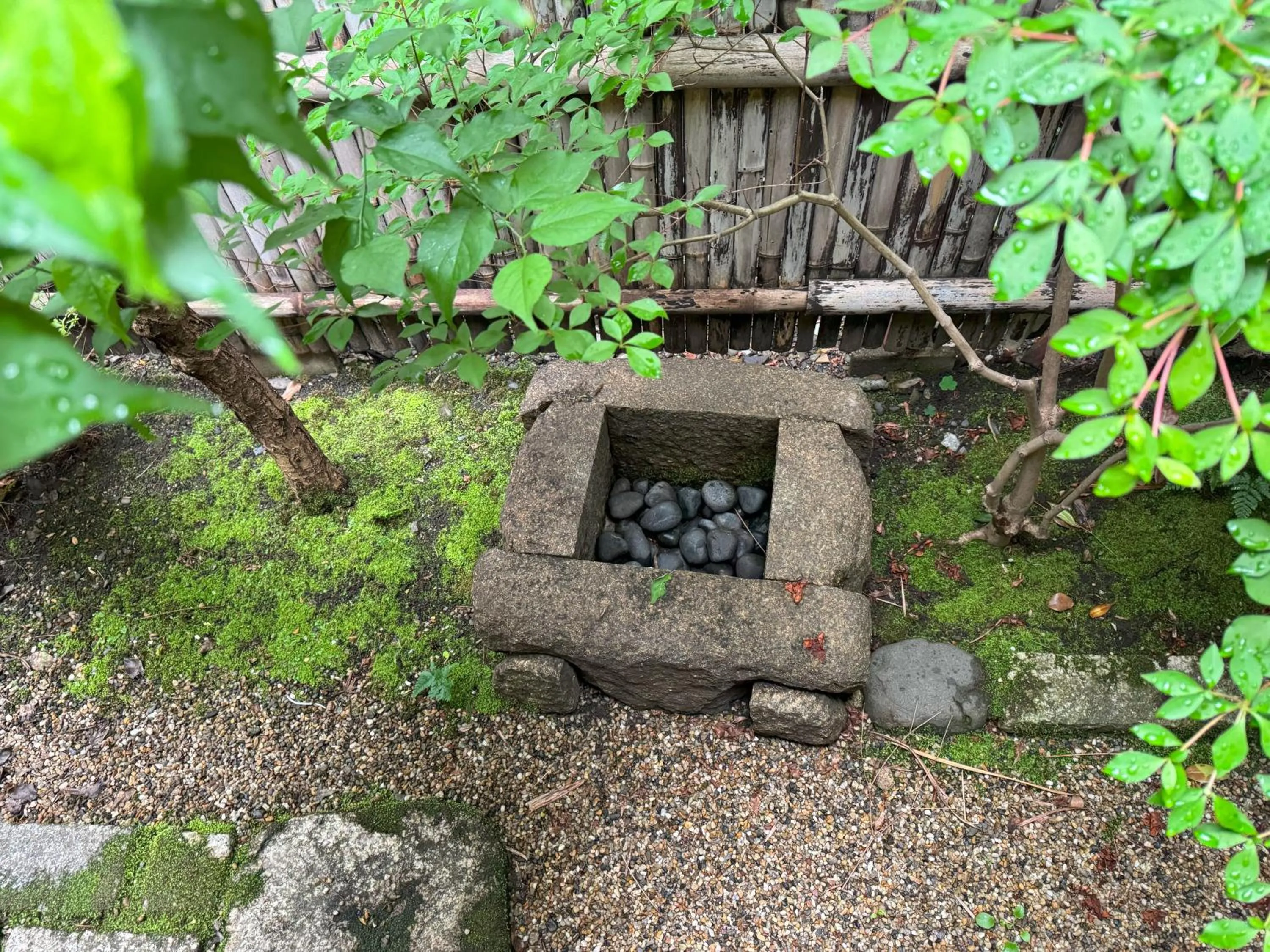 Garden view in Kurenai-an