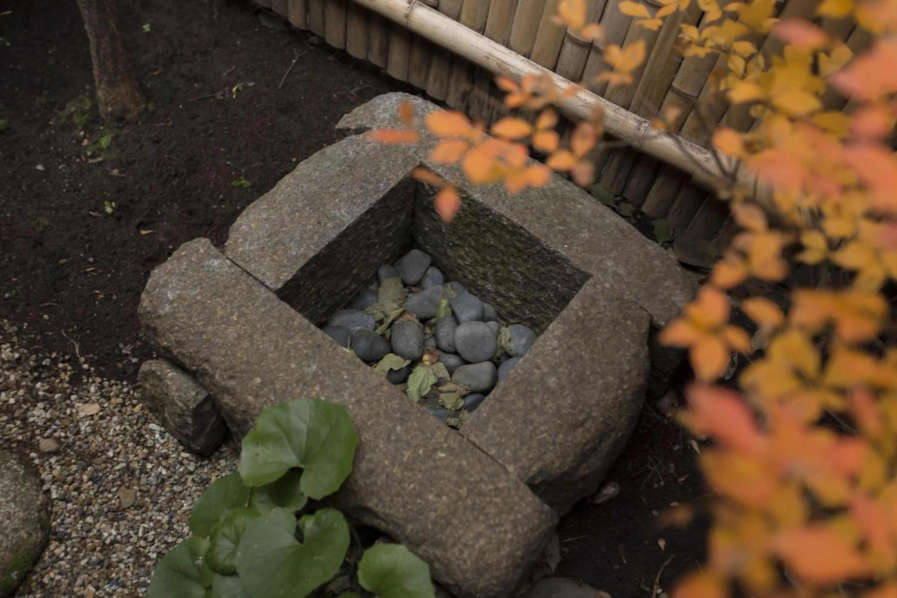 Garden view in Kurenai-an