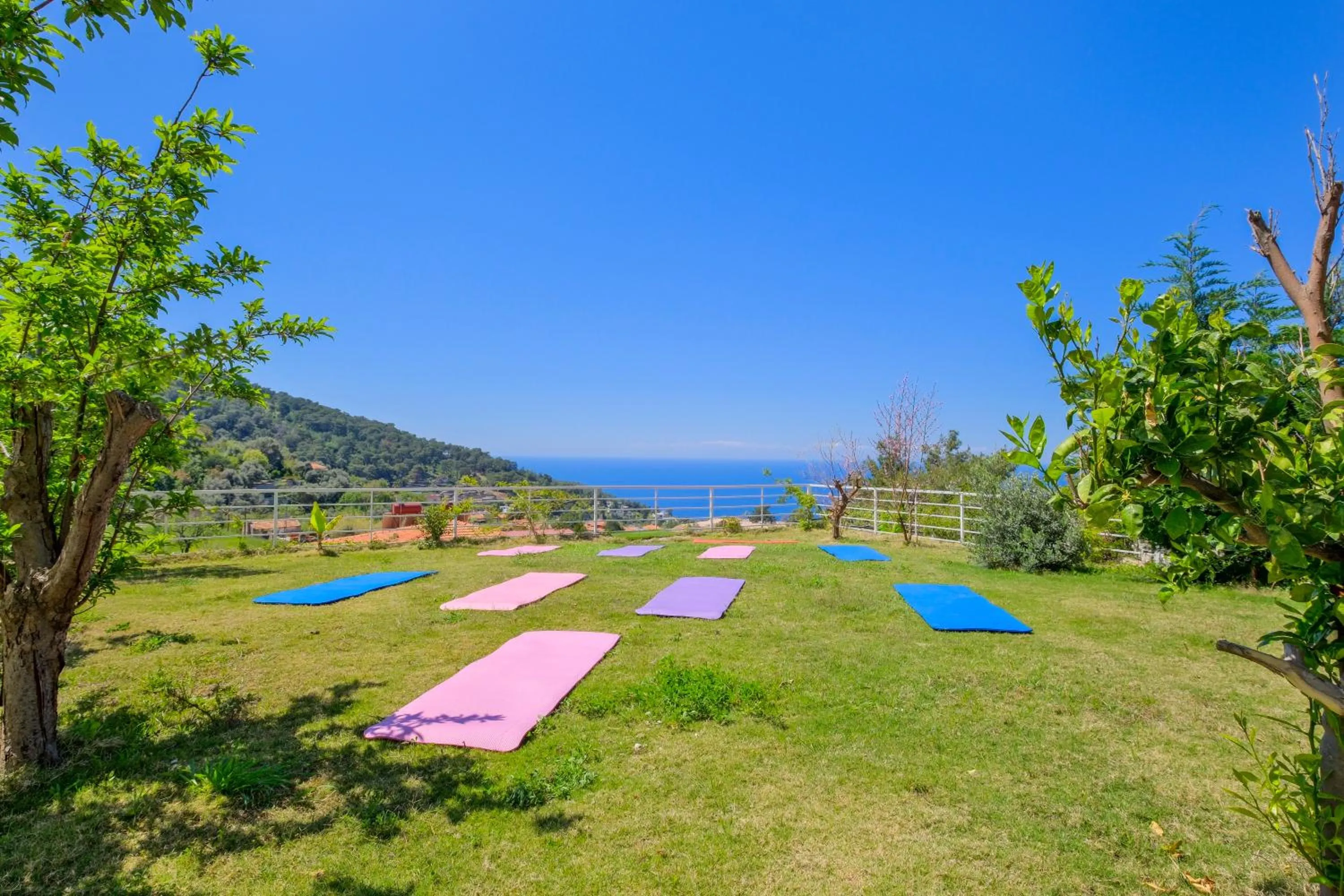Natural landscape in Highclere Hotel and Spa
