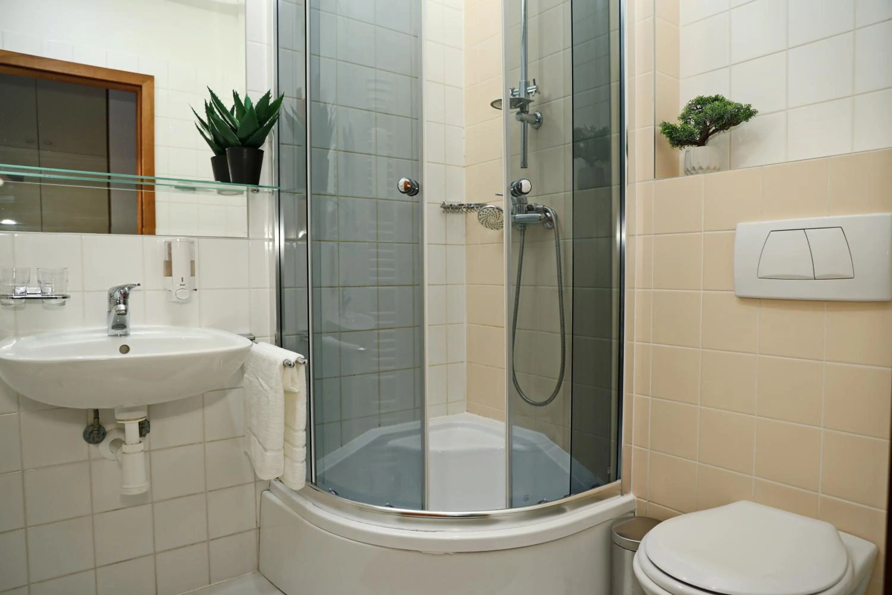 Bathroom in Hotel Maxim