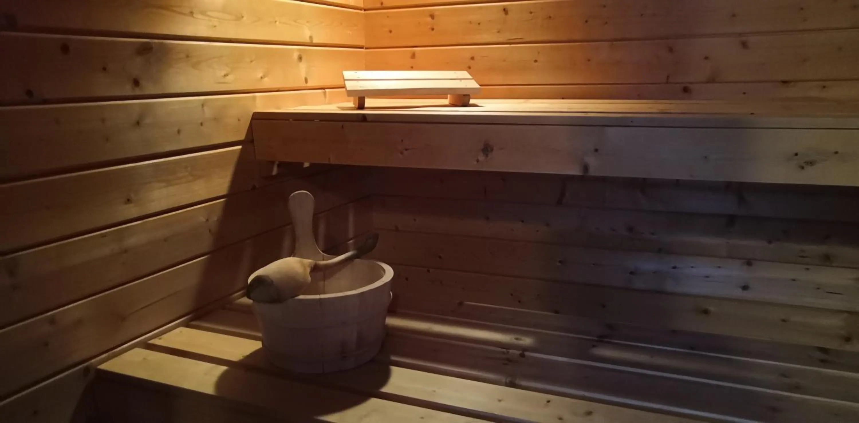 Sauna in HarzHotel Güntersberge