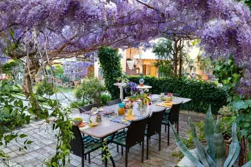 B&B Glicine B&B Glicine