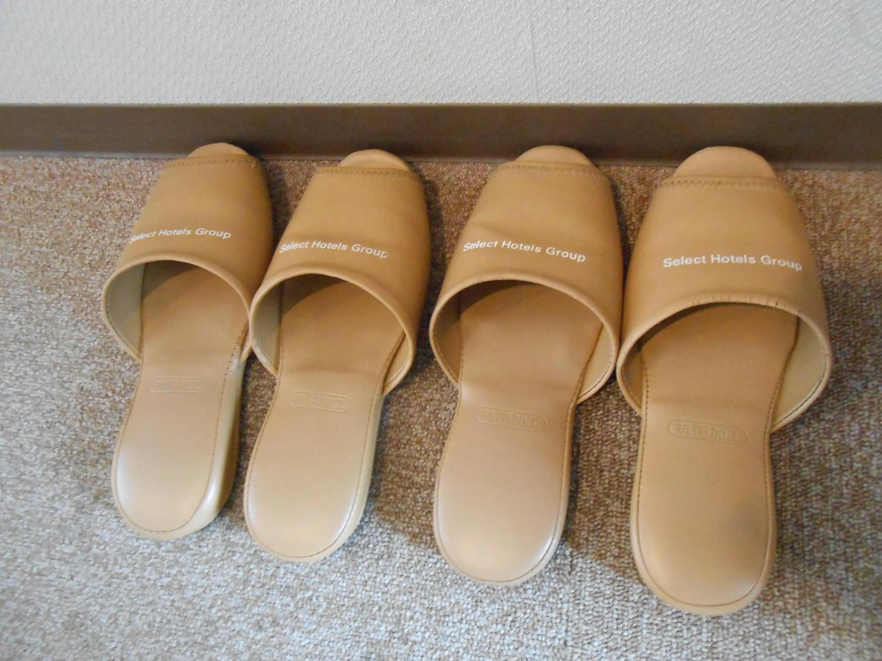 Decorative detail in Select Inn Mishima