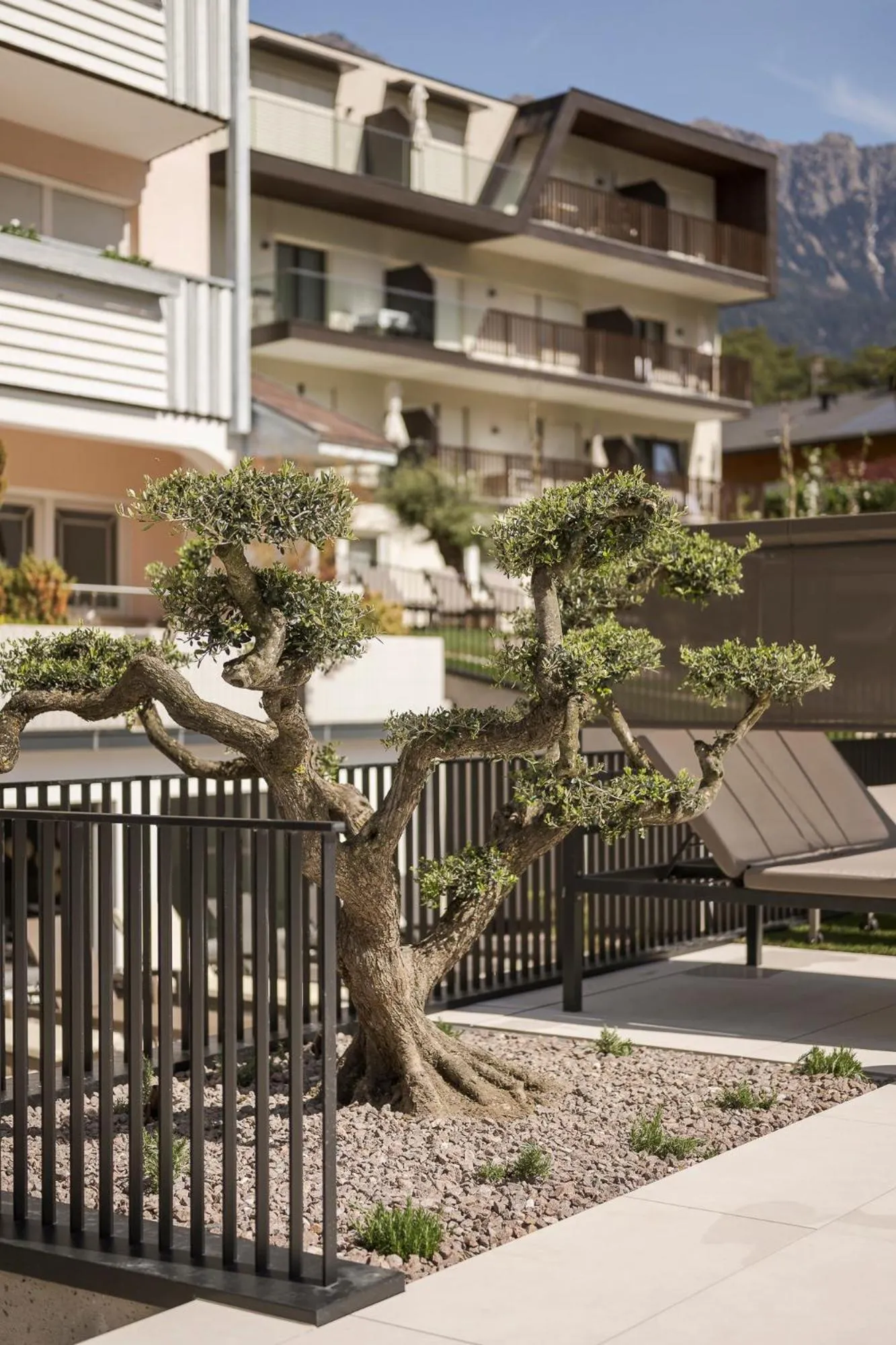 Garden in Amaris Suites