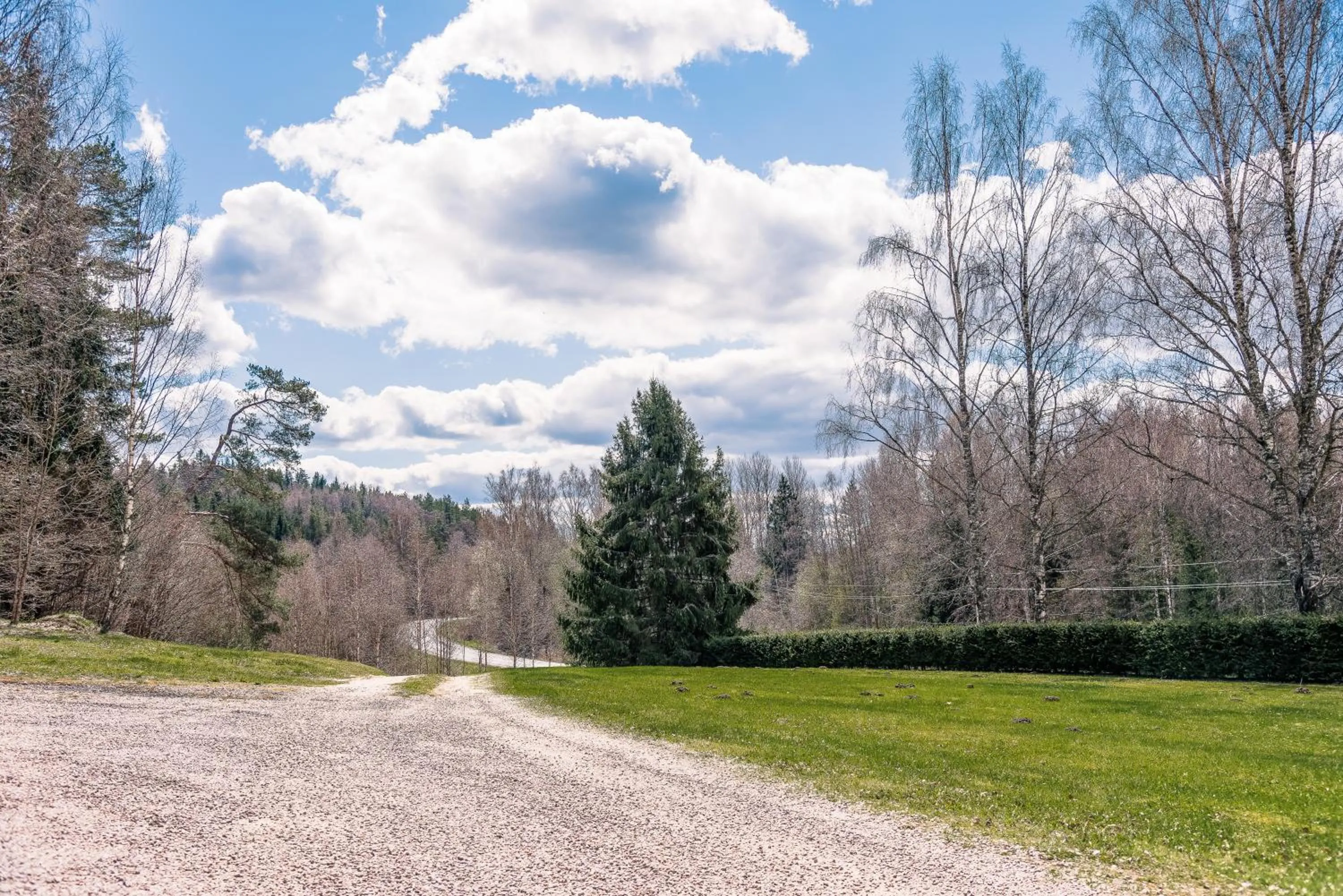 Spring in Külmamäe puhkemaja