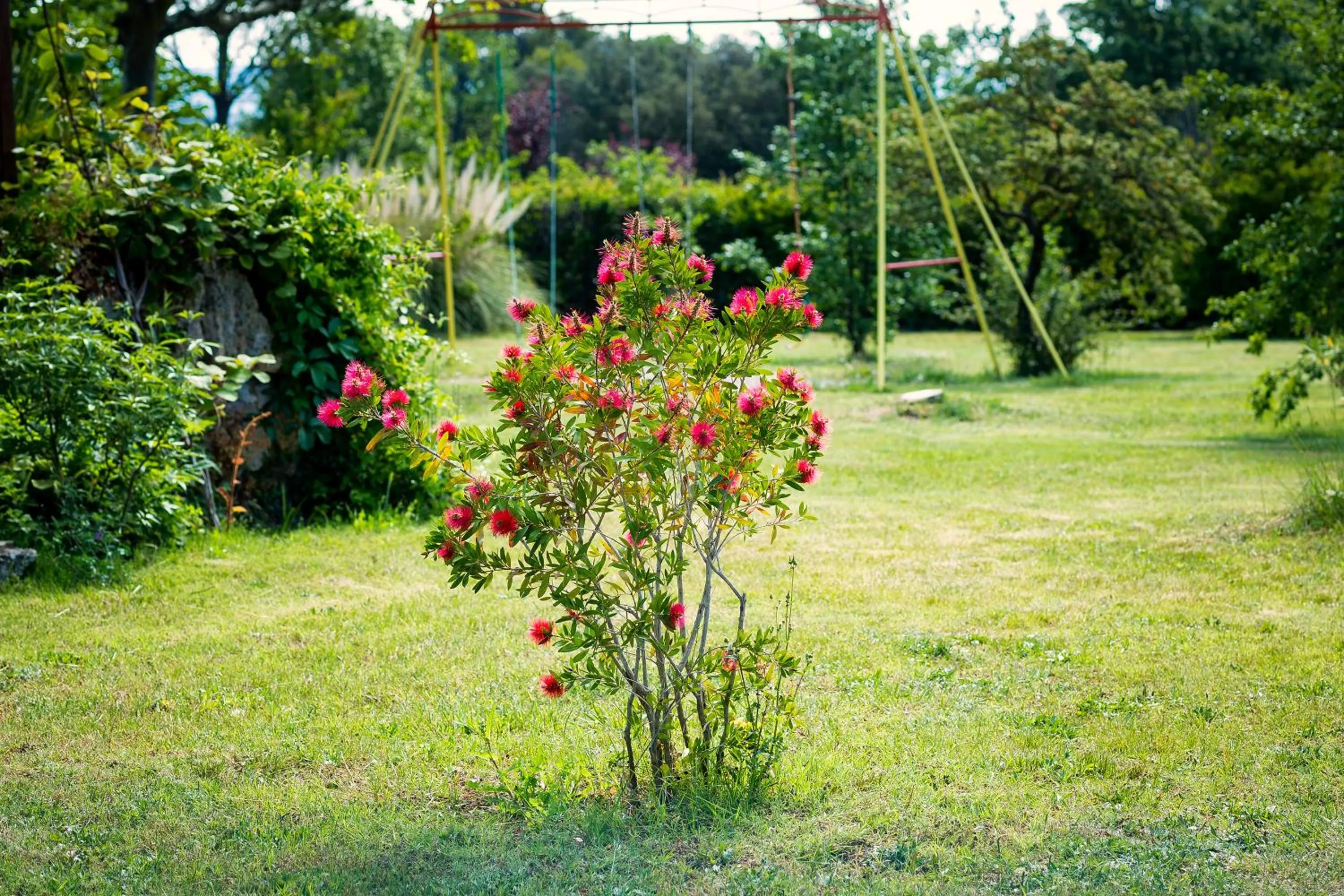 Children play ground in Auberge du Grand Chêne
