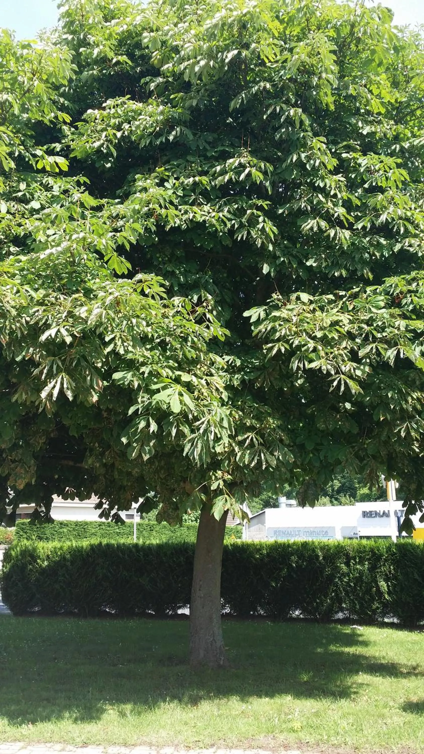 Area and facilities in Budget Hotel Melun Sud - Dammarie Les Lys