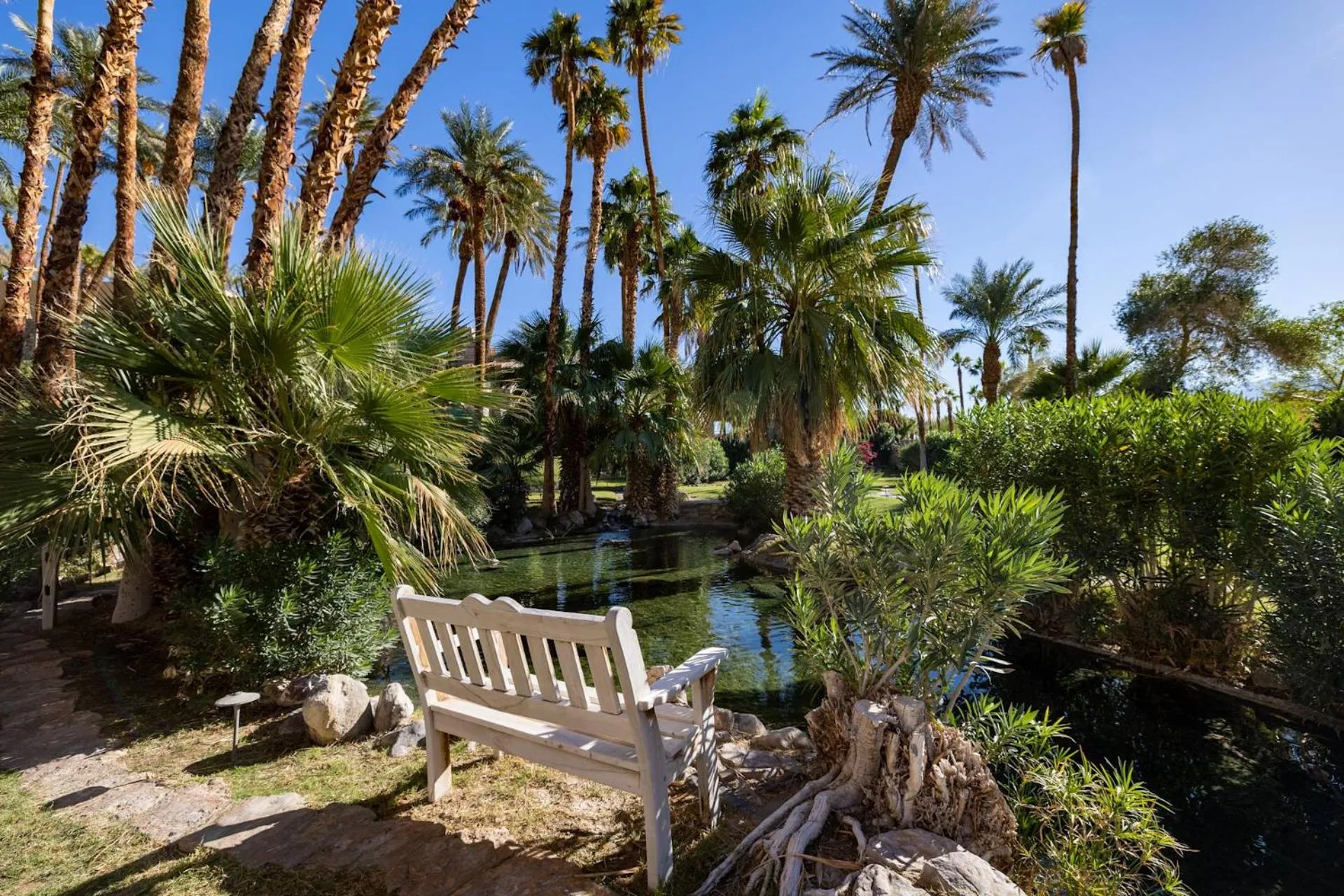 Garden in The Inn at Death Valley