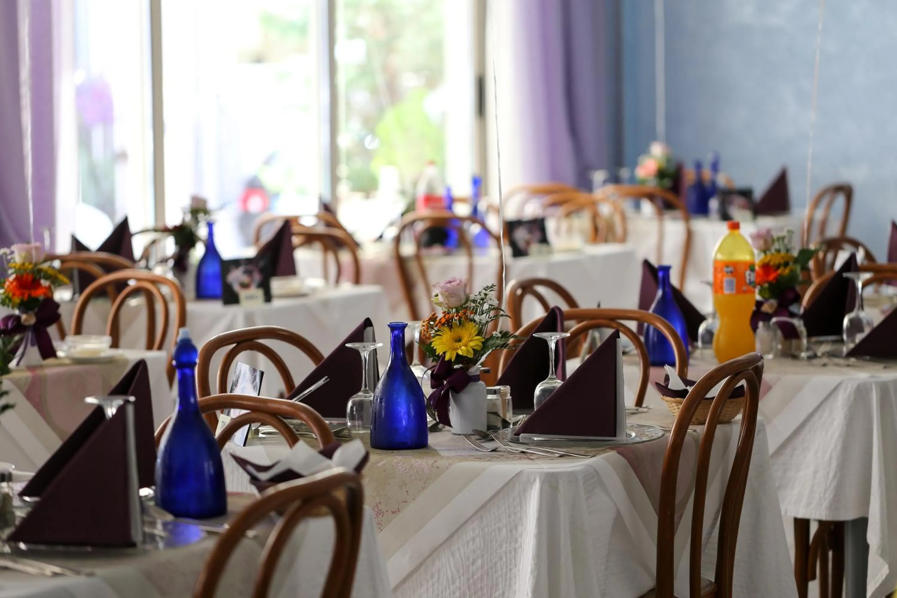 Restaurant/places to eat in Hotel Cadiz