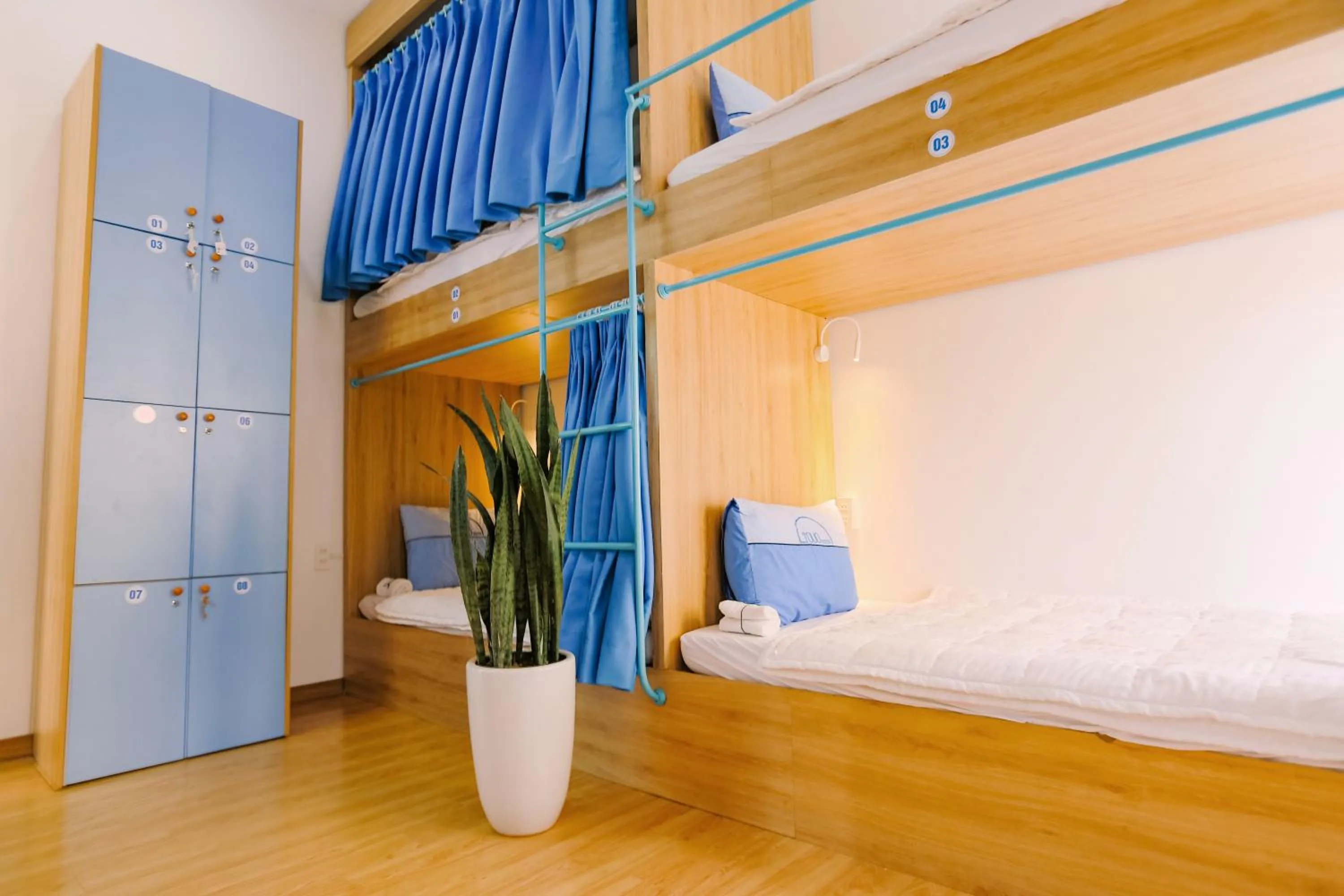 Bed in Tò Vò Hostel Huế