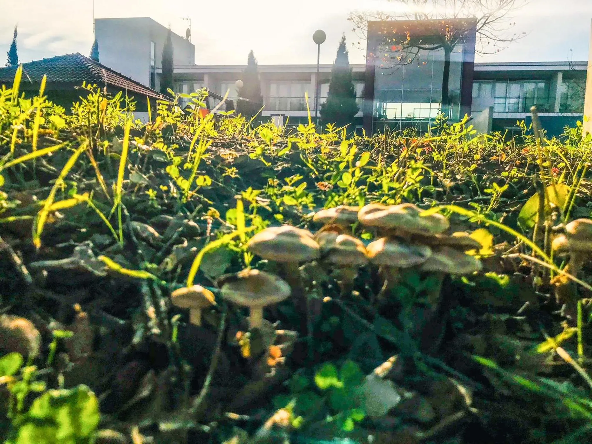 Off site in Hotel Santa Margarida