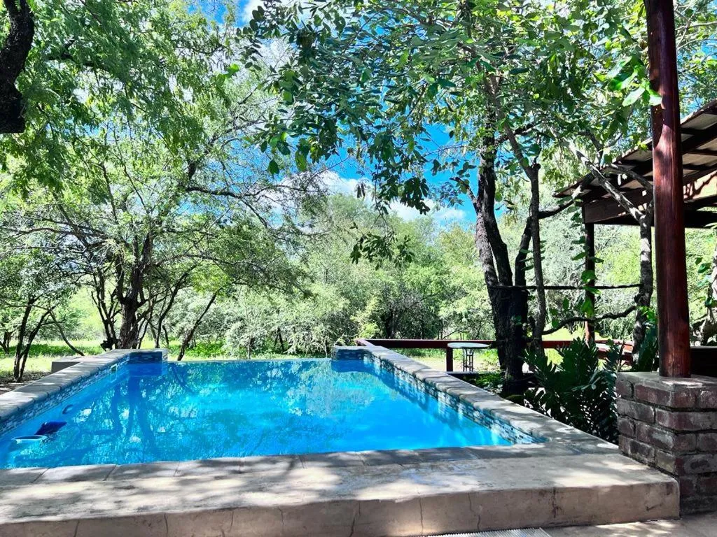 Swimming pool in Turaco Lodge - No Loadshedding