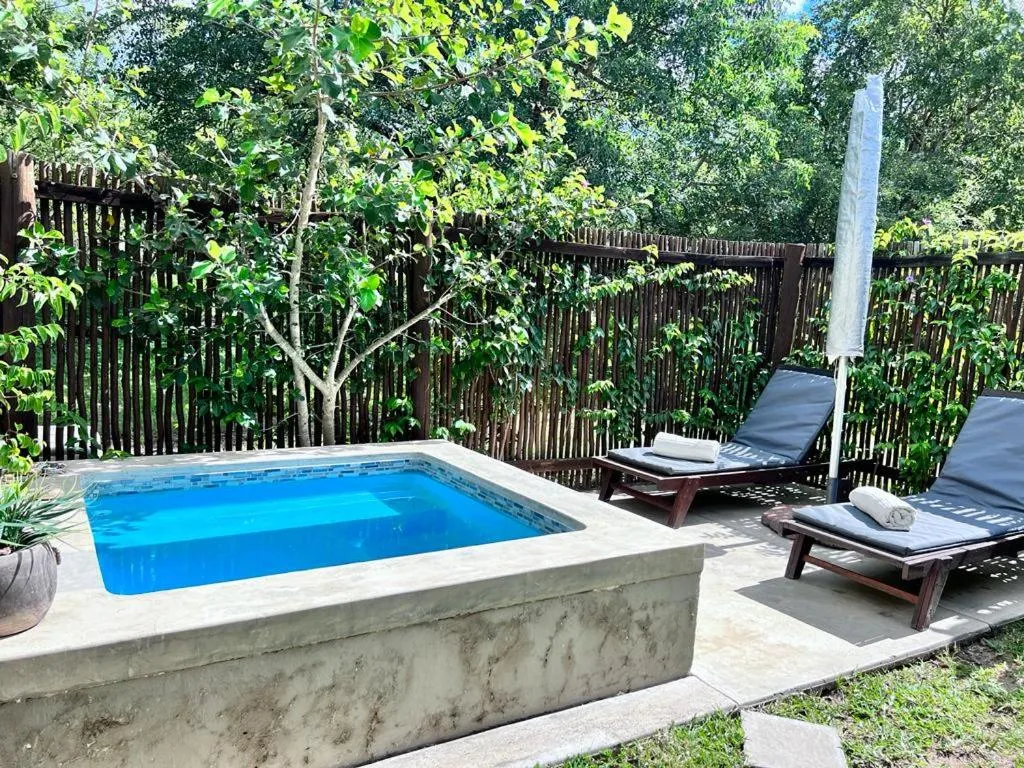 Swimming pool in Turaco Lodge - No Loadshedding