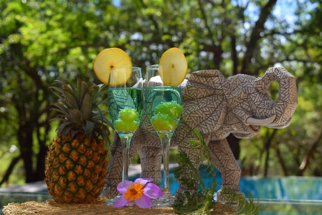 Pool view in Turaco Lodge - No Loadshedding