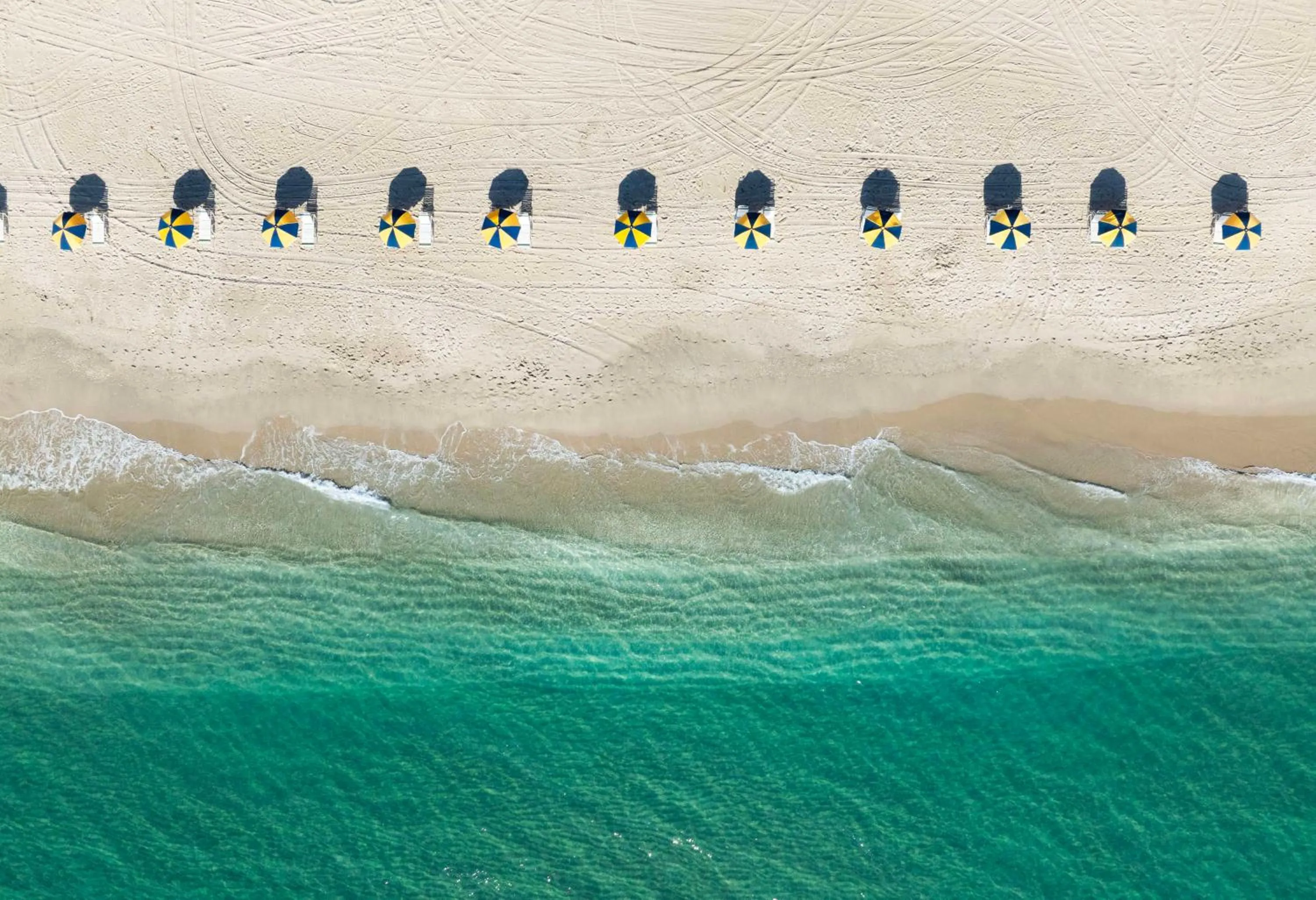 Beach in The Singer Oceanfront Resort, Curio Collection by Hilton
