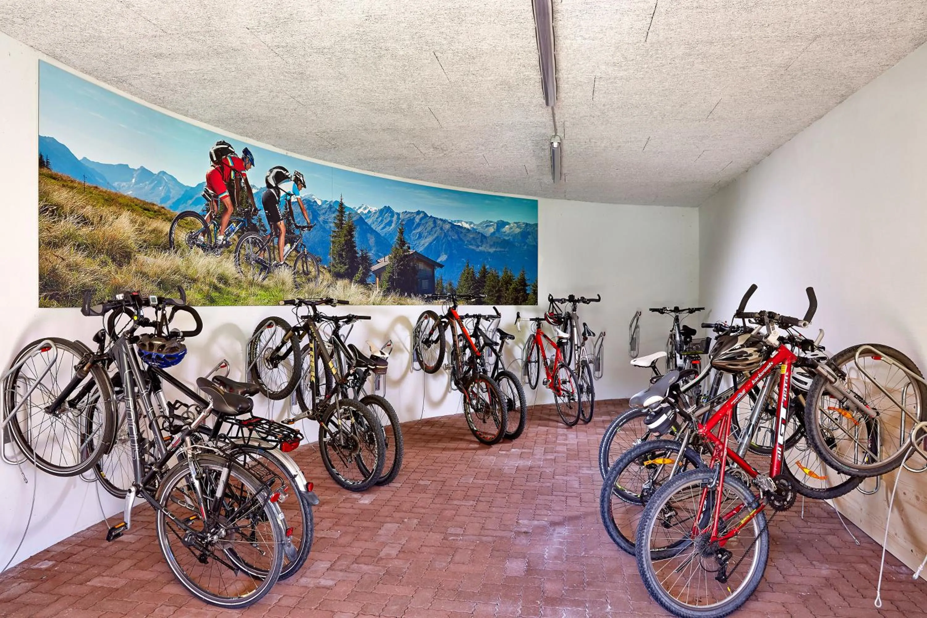 Cycling in Wanderhotel Kirchner