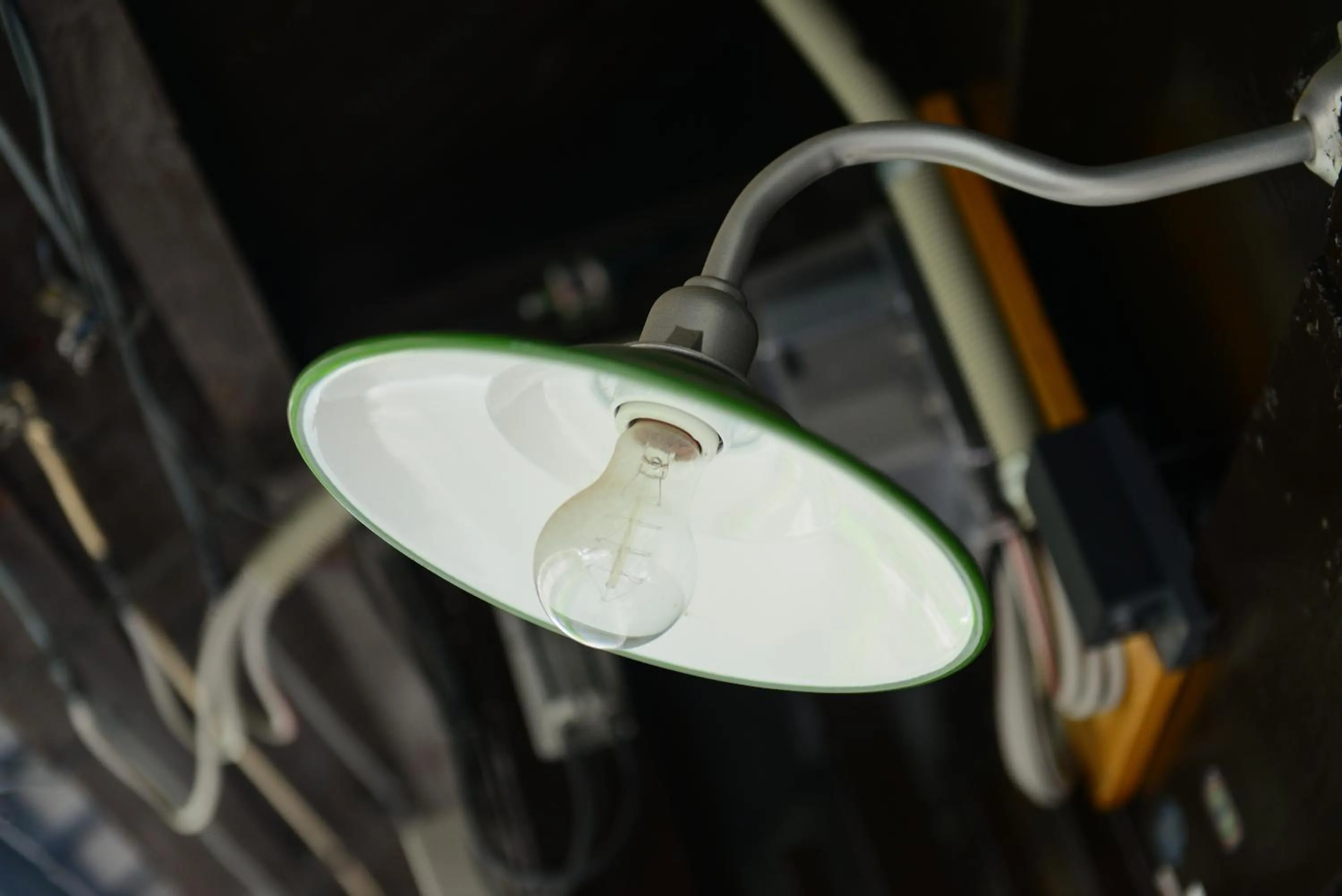 Other in Nishioji TANUKI