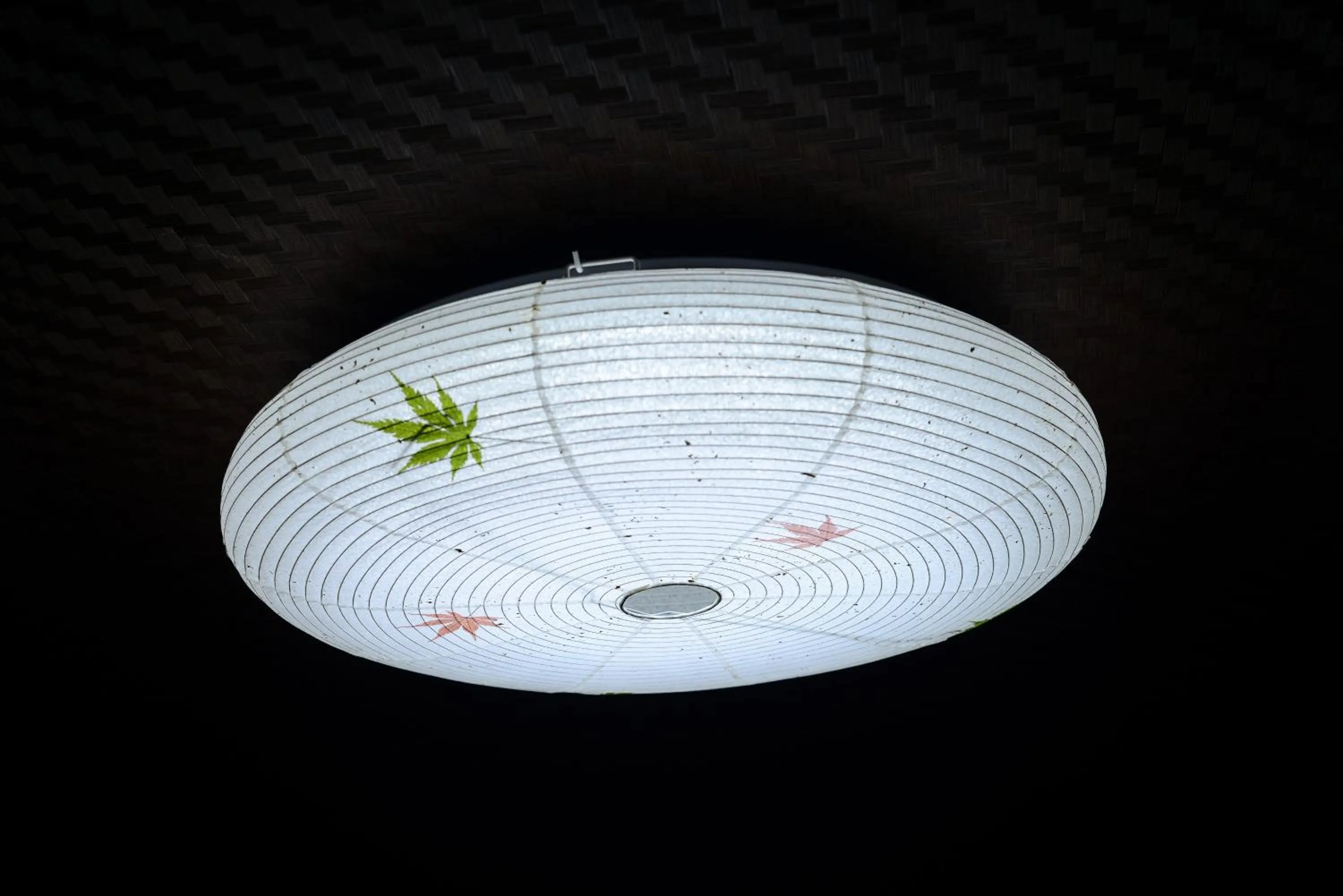 Other in Nishioji TANUKI