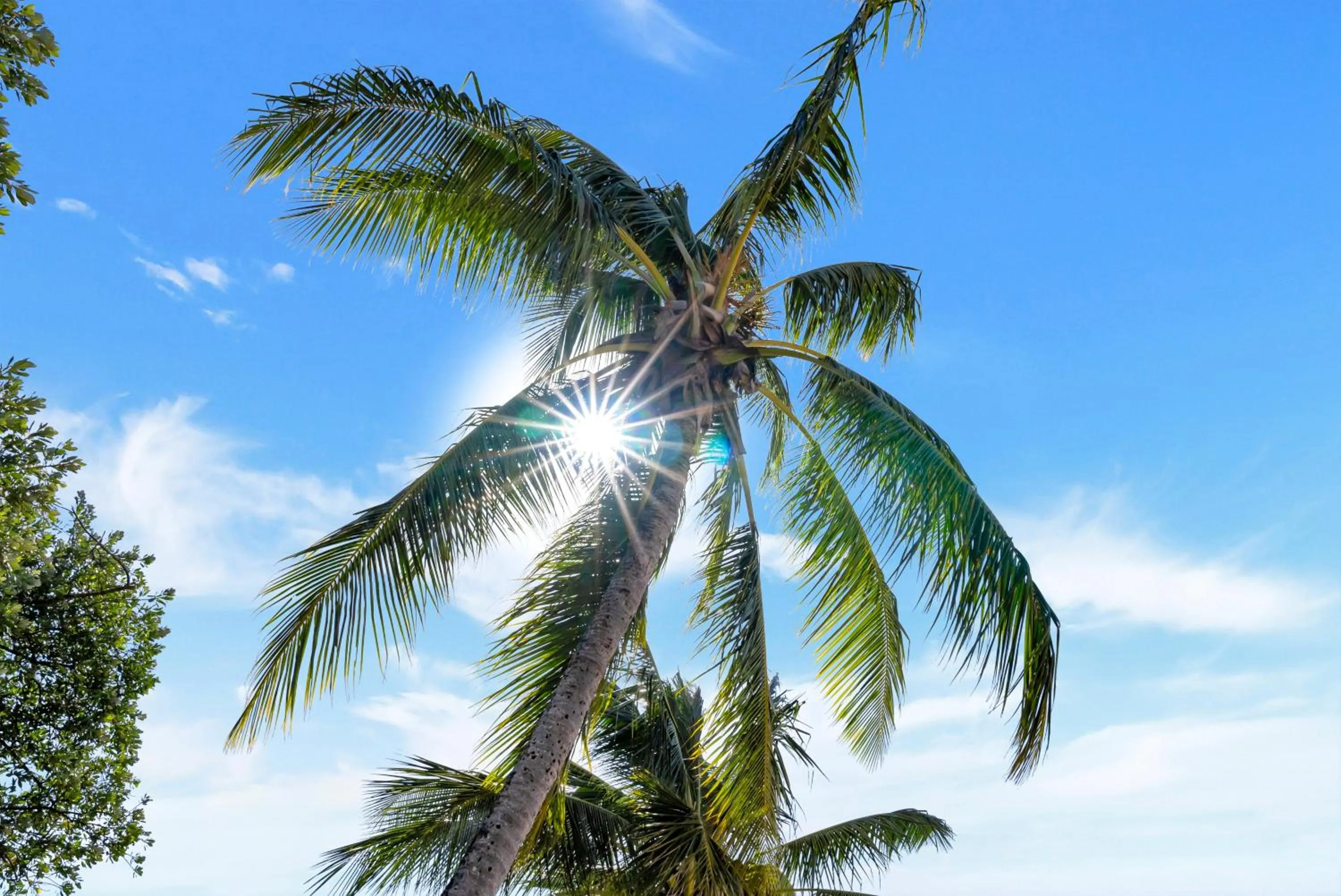Beach in Argosy On The Beach