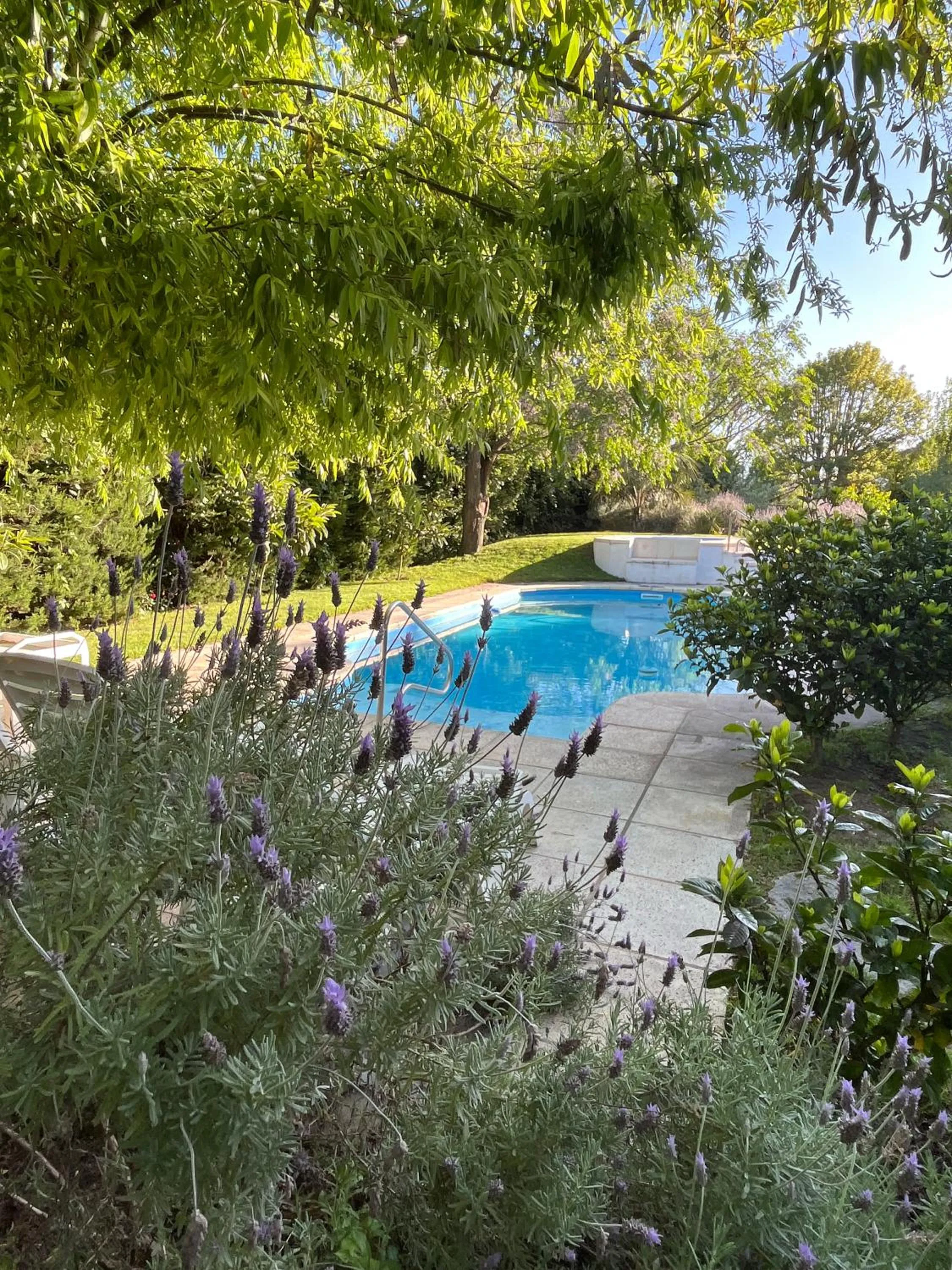 Swimming pool in Arsamici Hotel