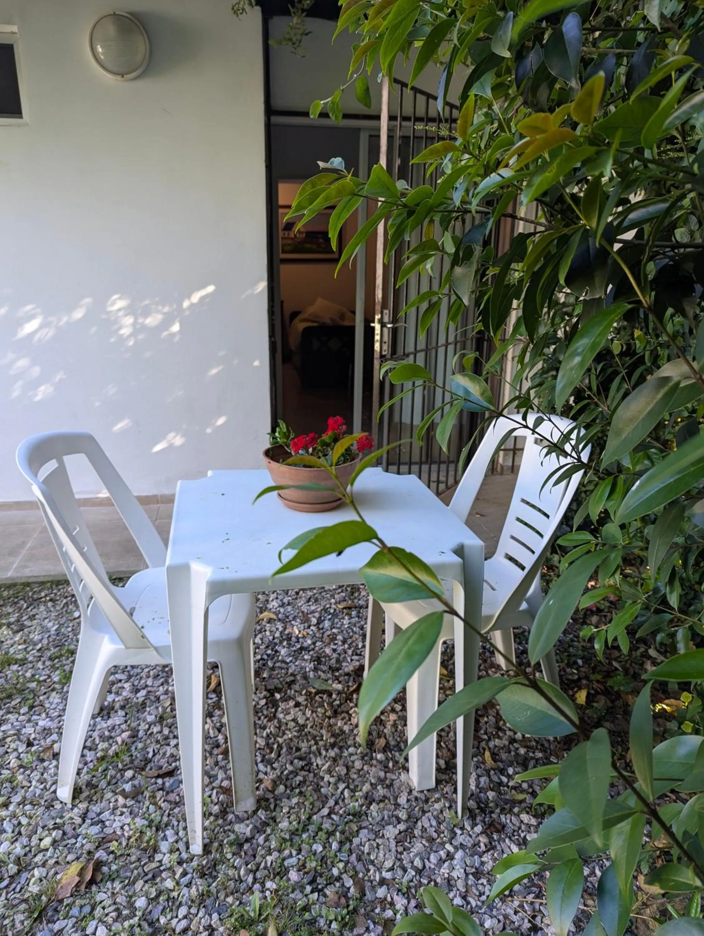 Garden in Arsamici Hotel