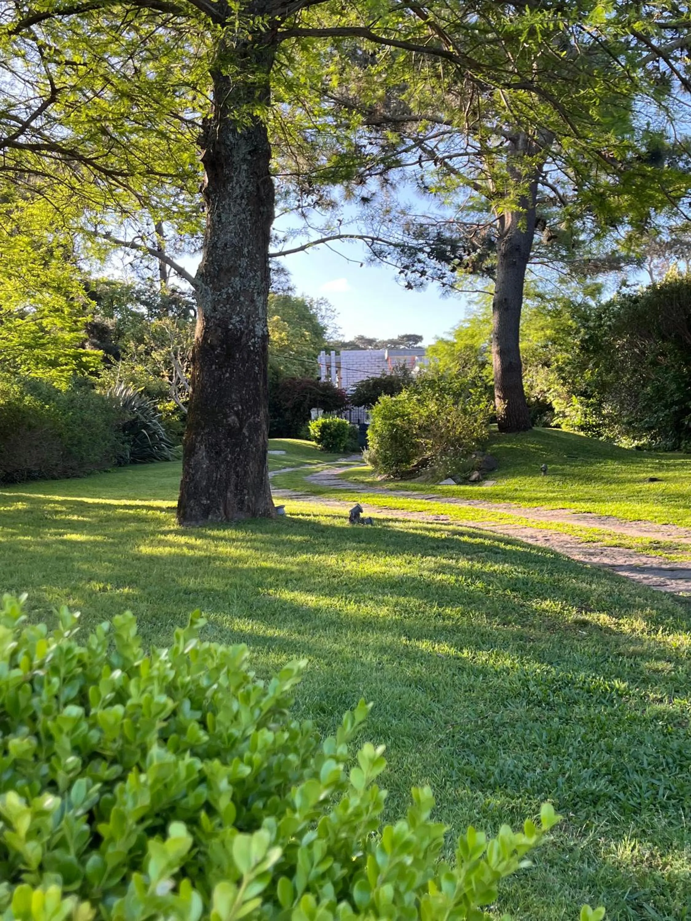 Garden in Arsamici Hotel