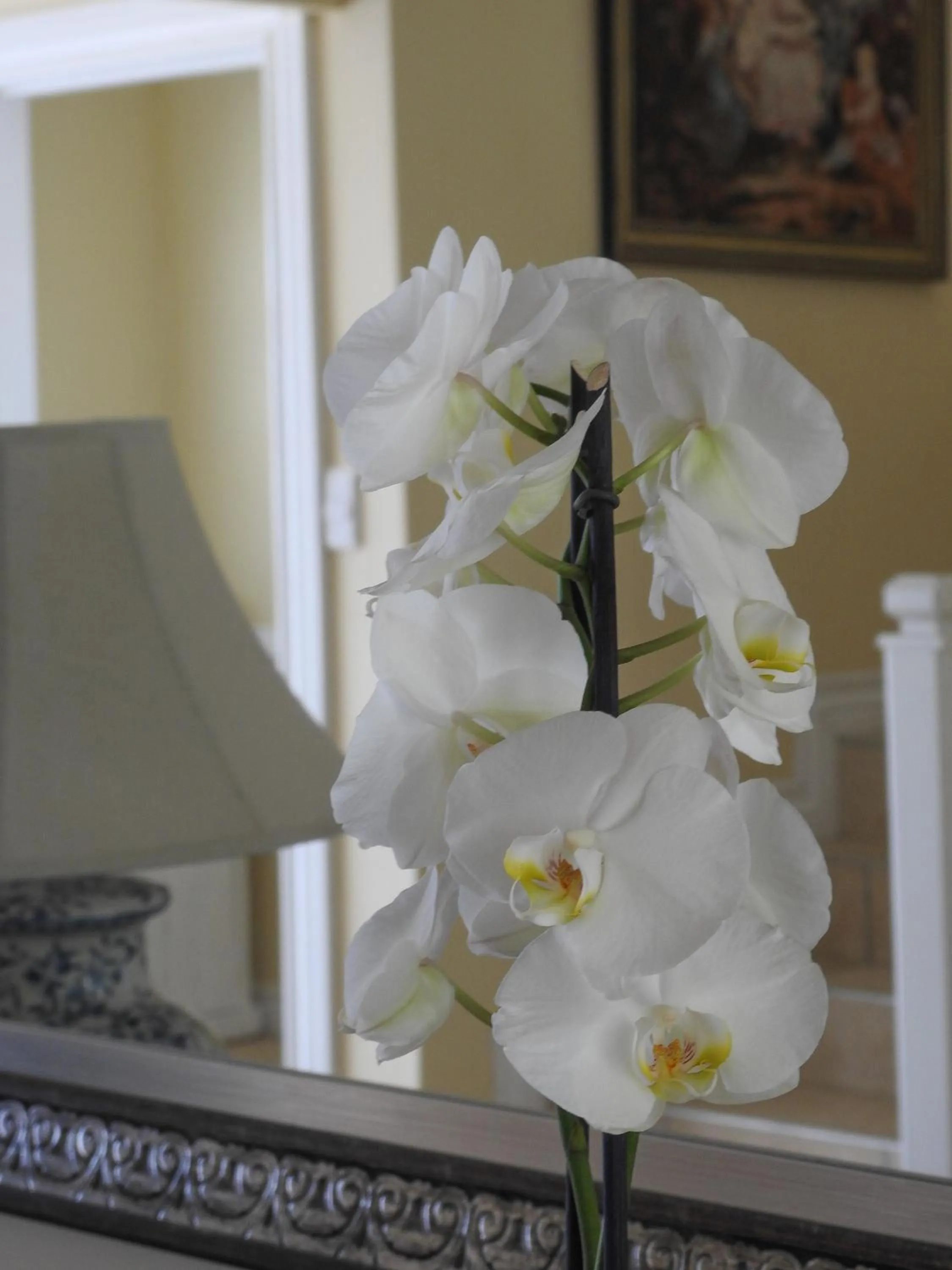 Decorative detail in Julsie's Home