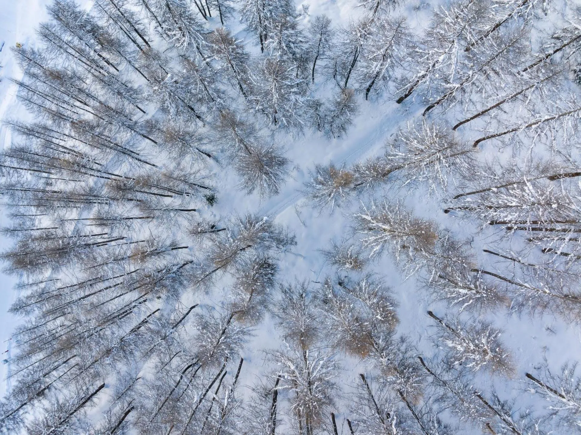 Winter in Panorama Samnaun
