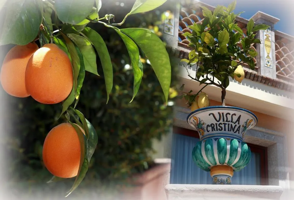 Villa Cristina