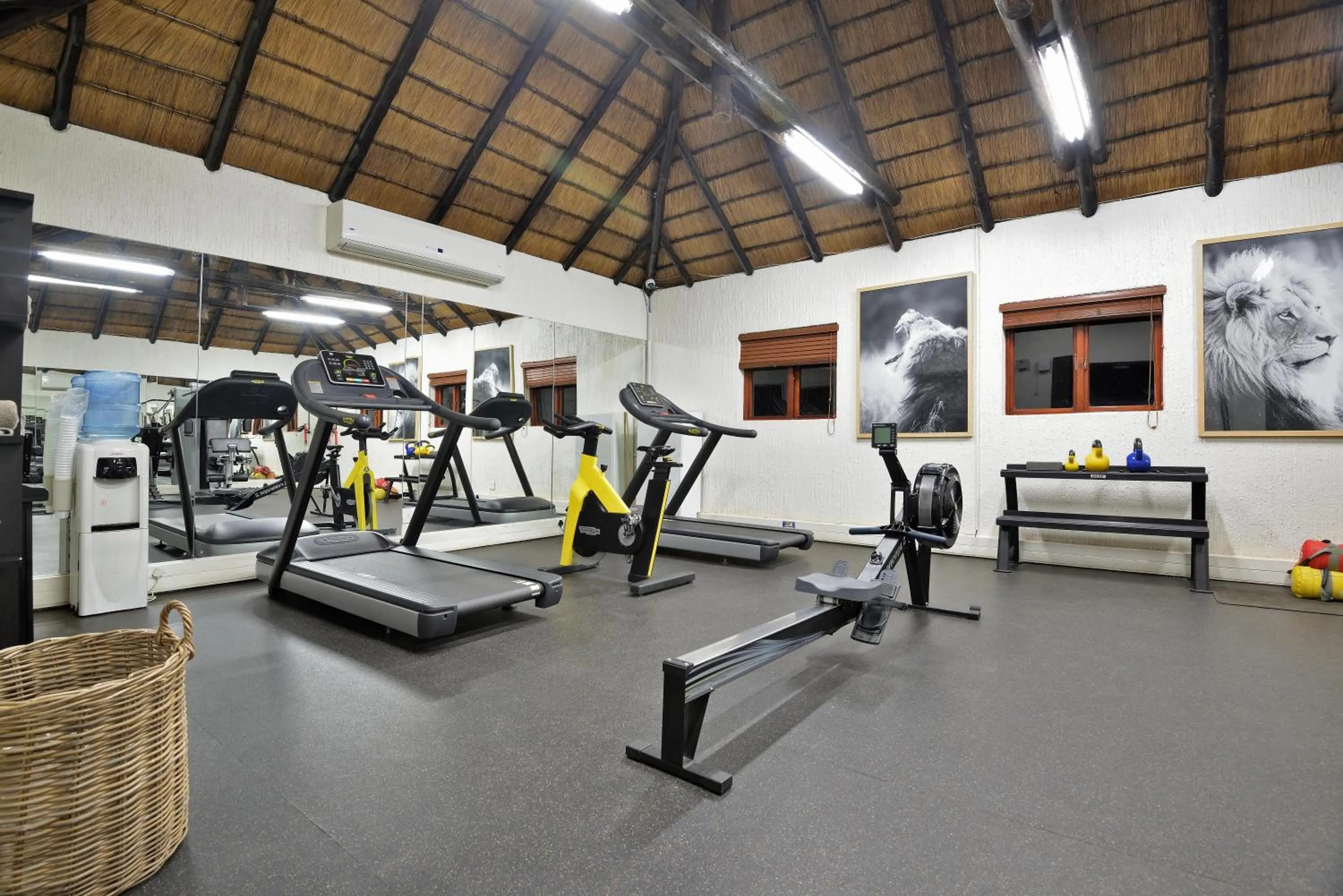 Activities in Bakubung Bush Lodge