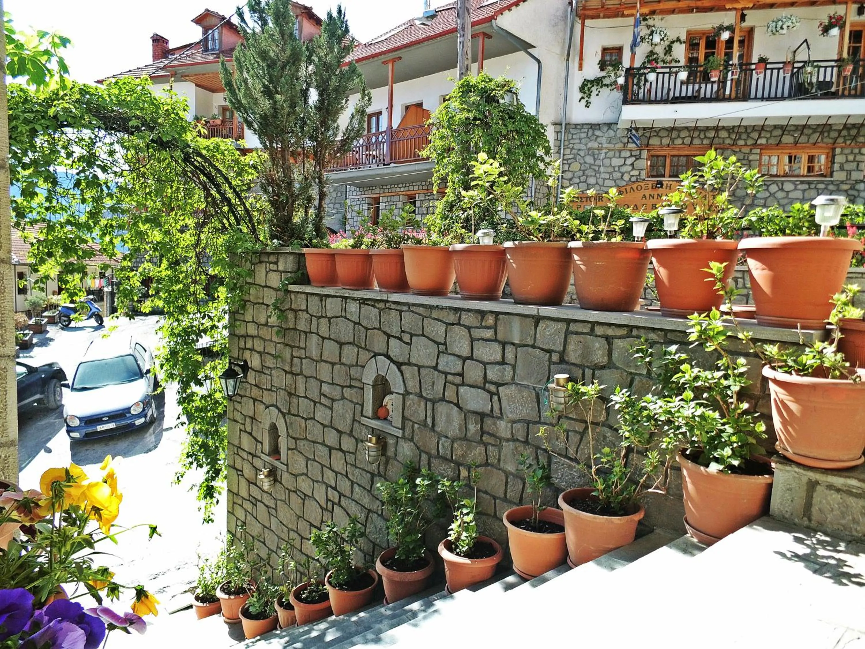 Other in Asteri Metsovou