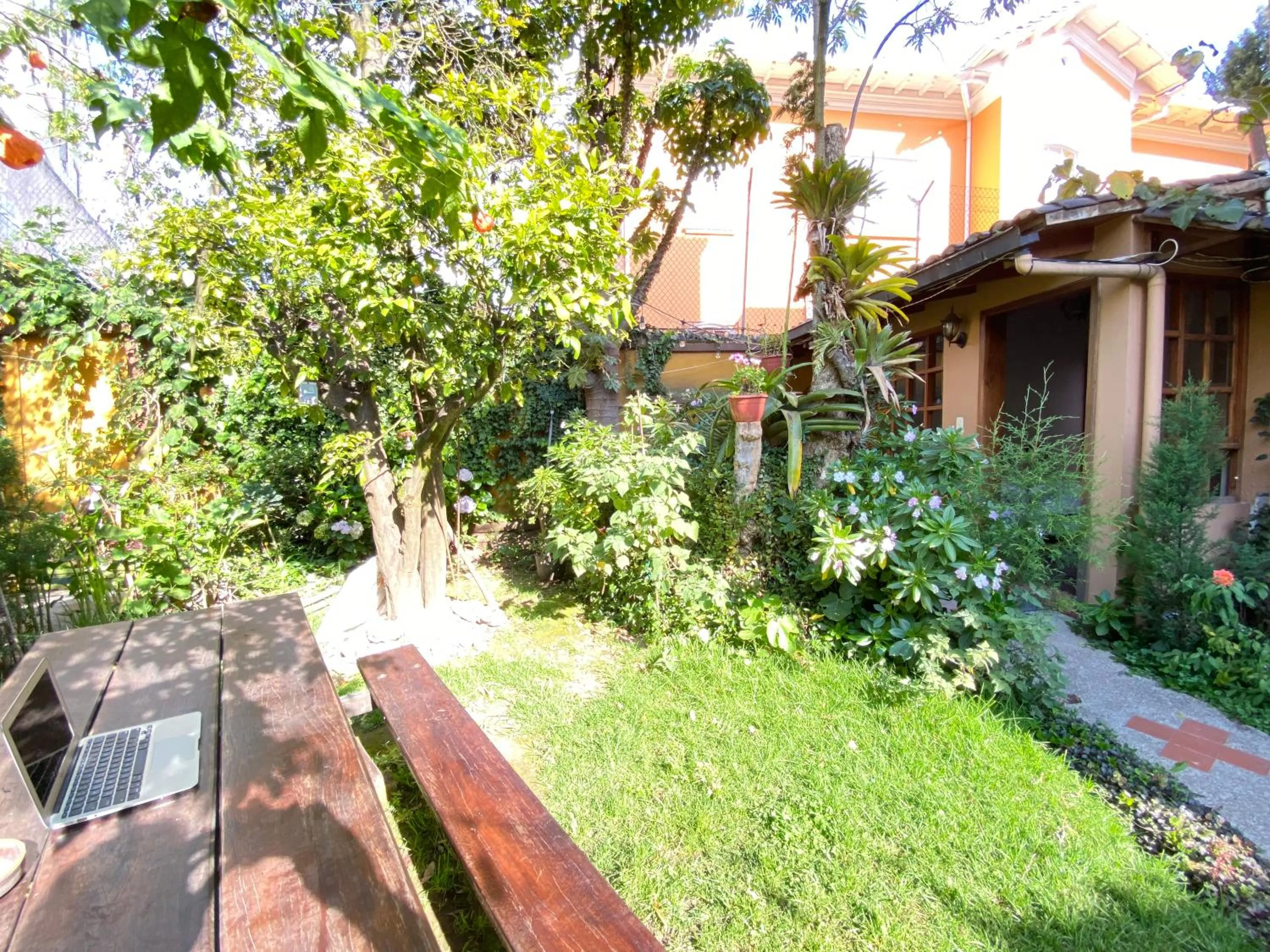 Garden view in Hostal Alcala