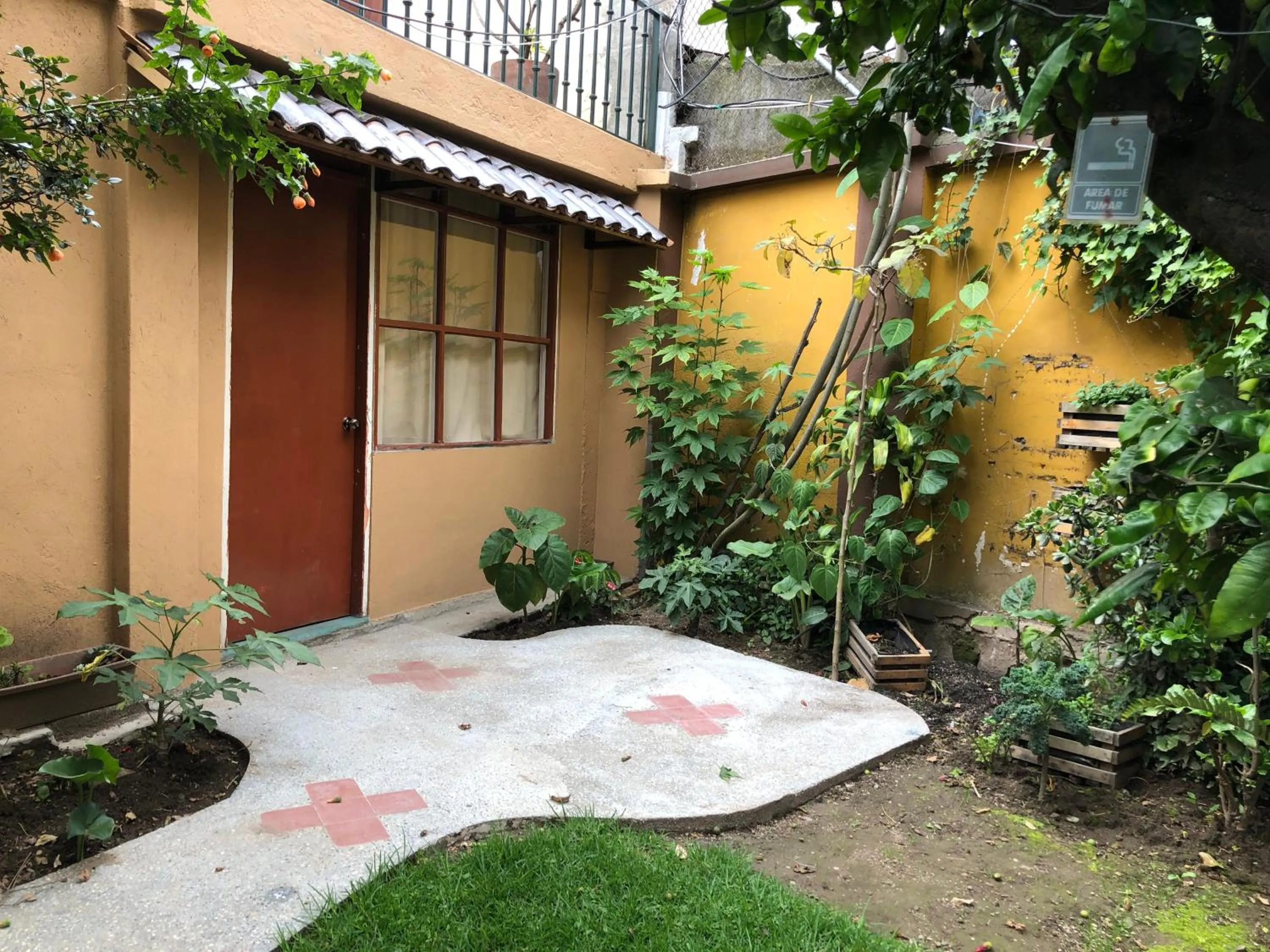 Garden view in Hostal Alcala