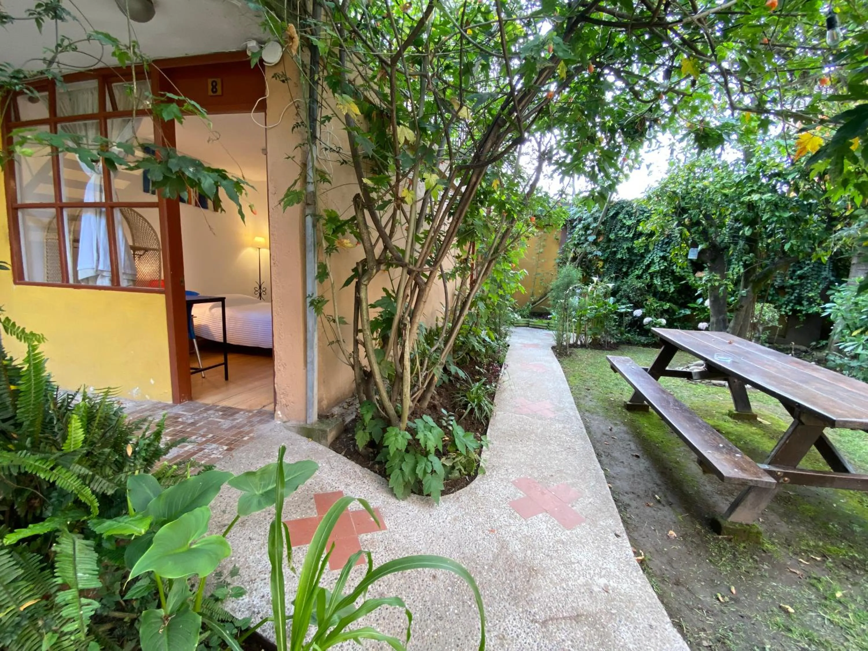 Garden in Hostal Alcala