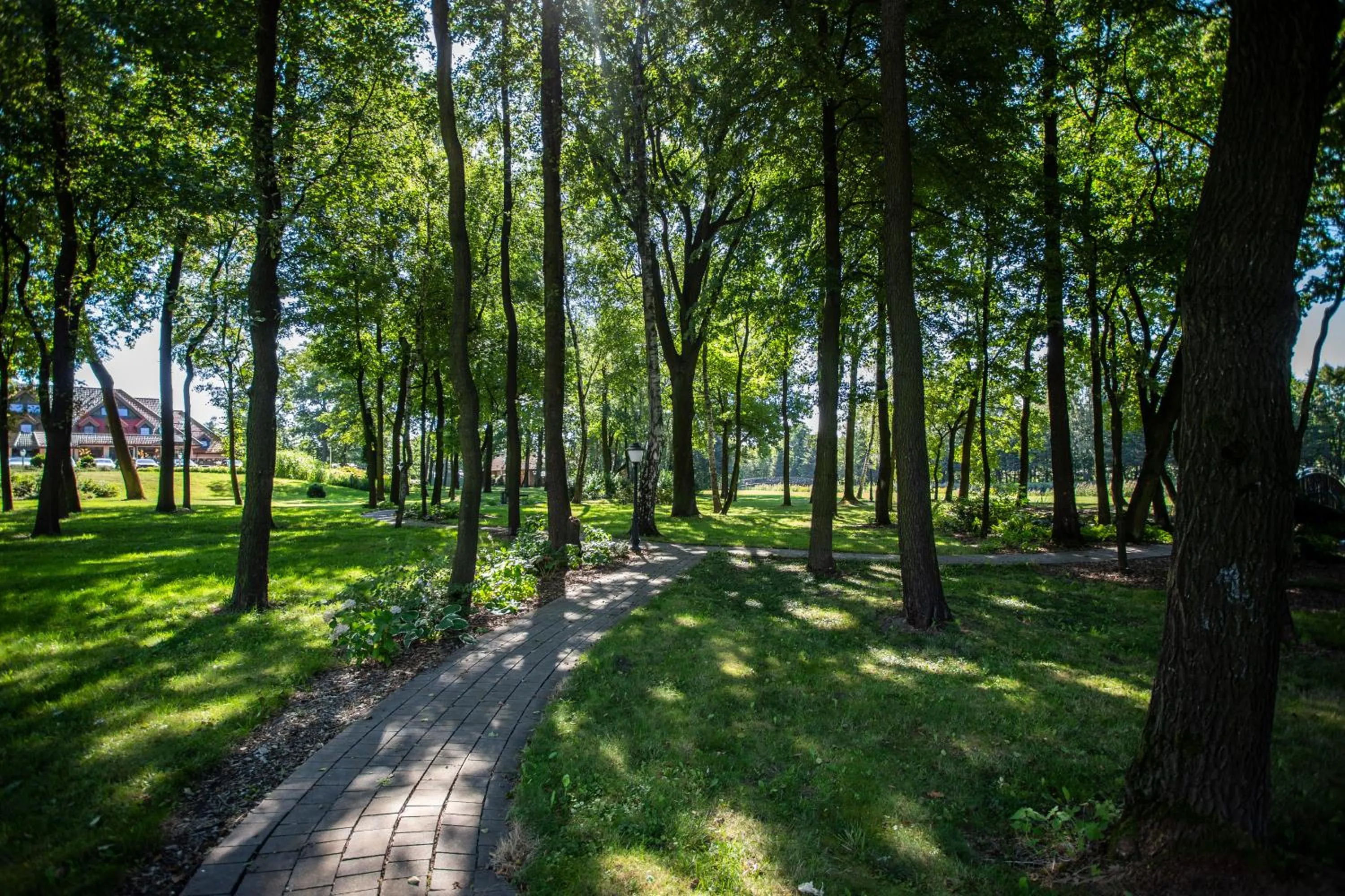 Day in Hotel Styl 70