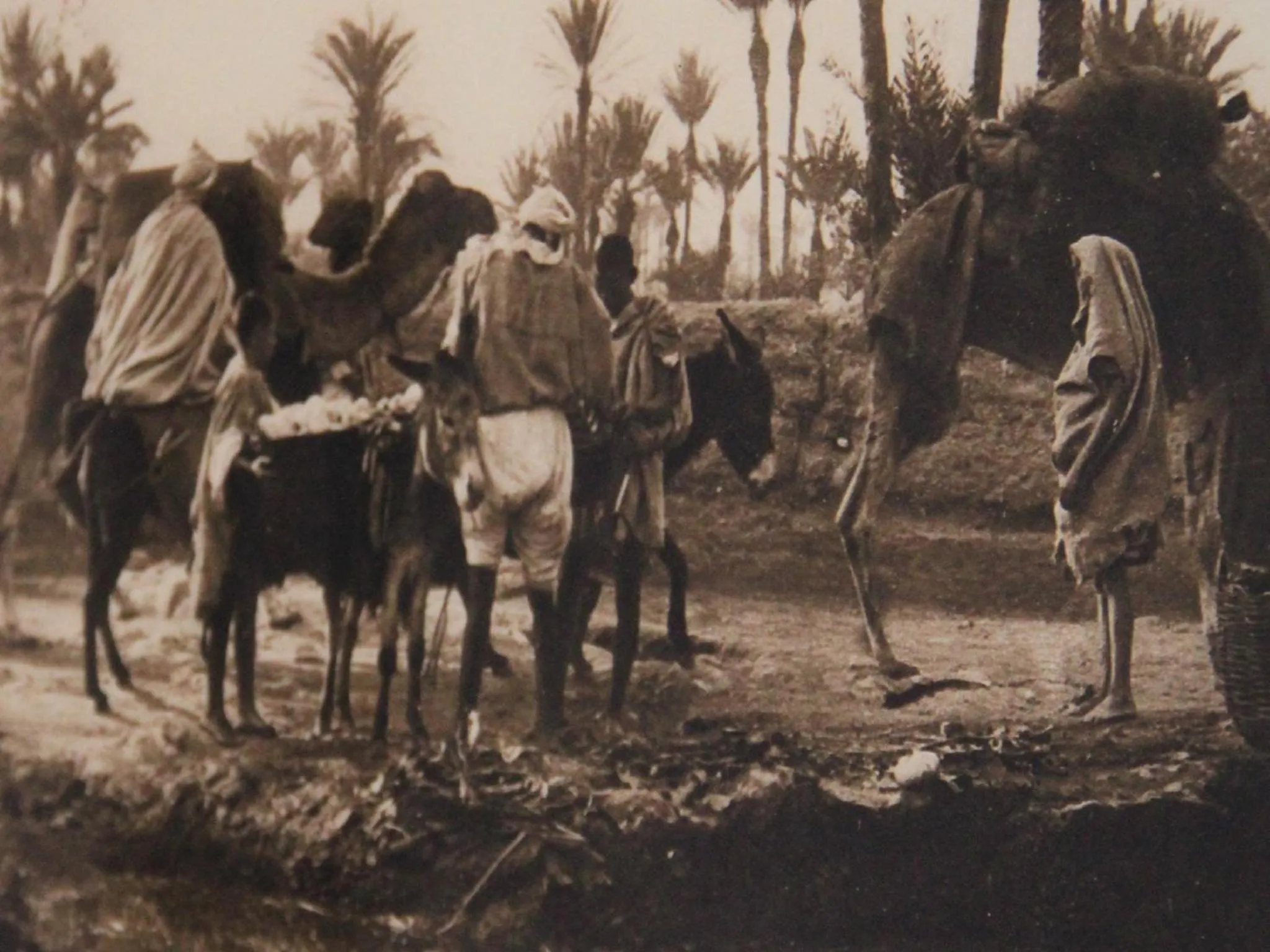 Decorative detail in Riad Miski