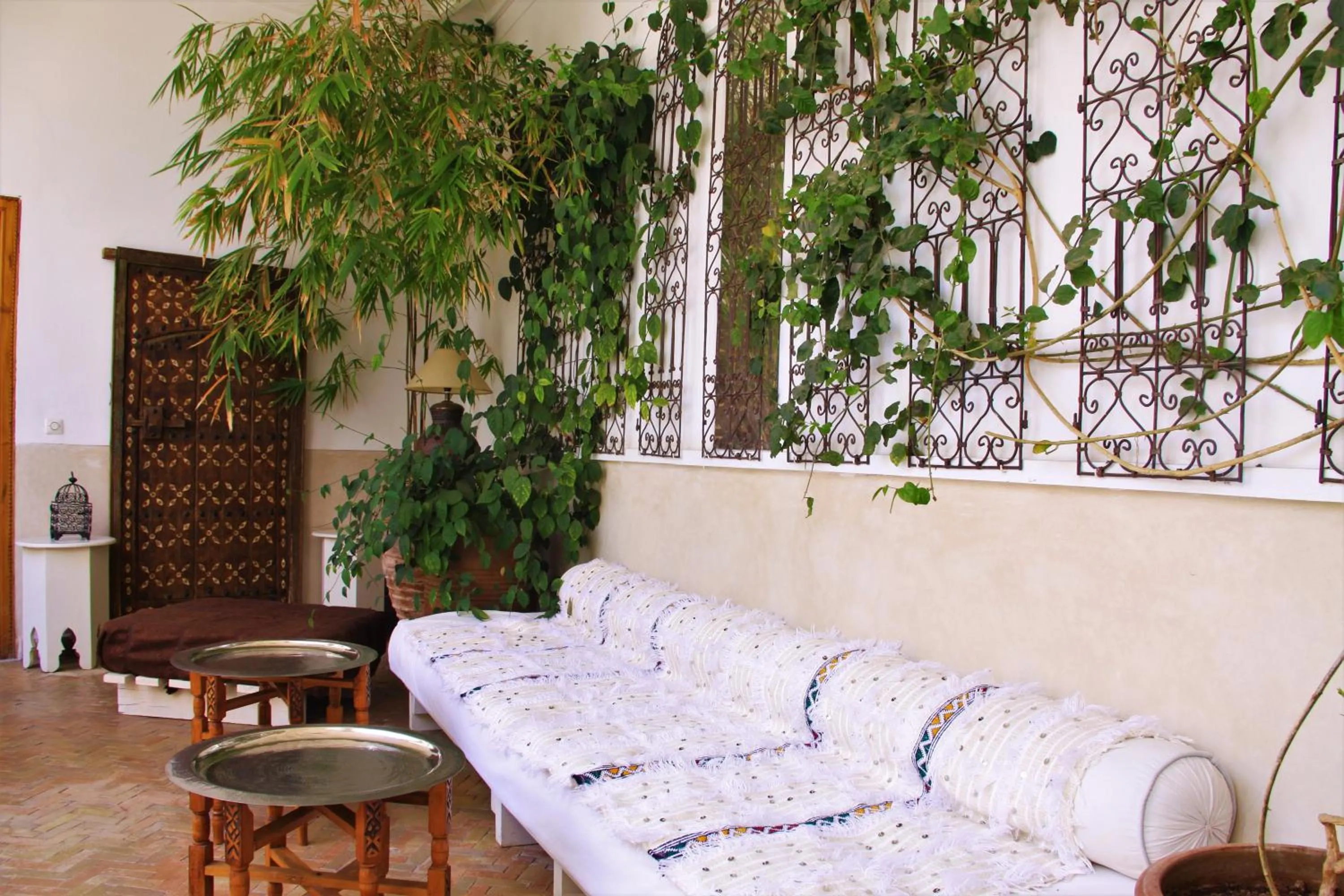 Garden in Riad Miski