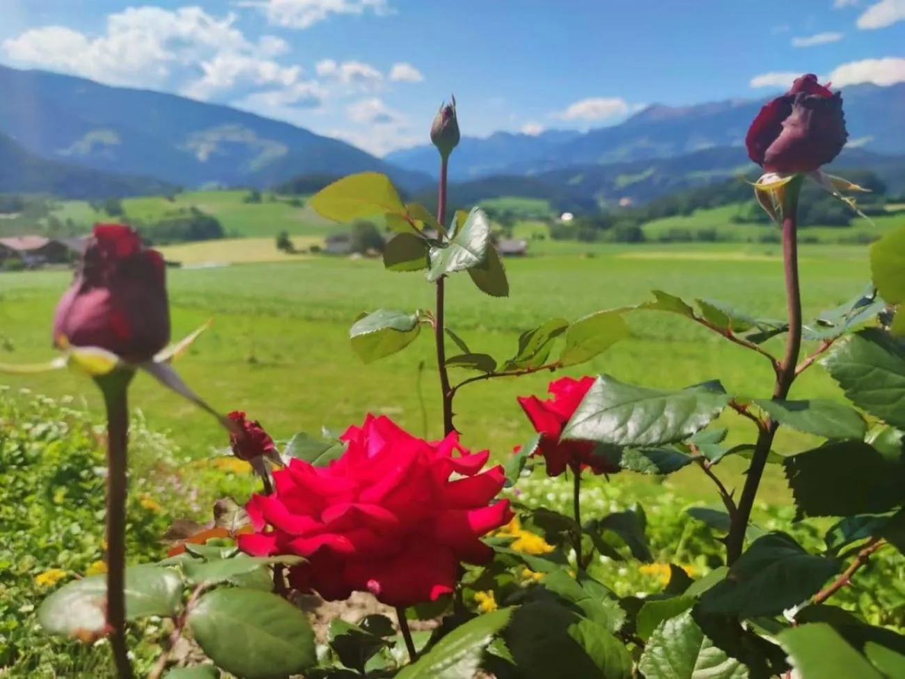 Day in Residence Stefansdorf