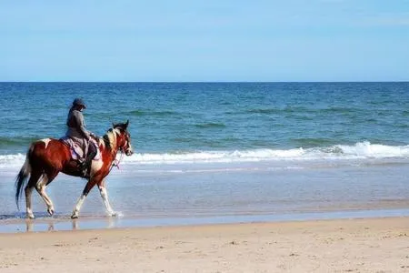 Casale Artemisia Capalbio