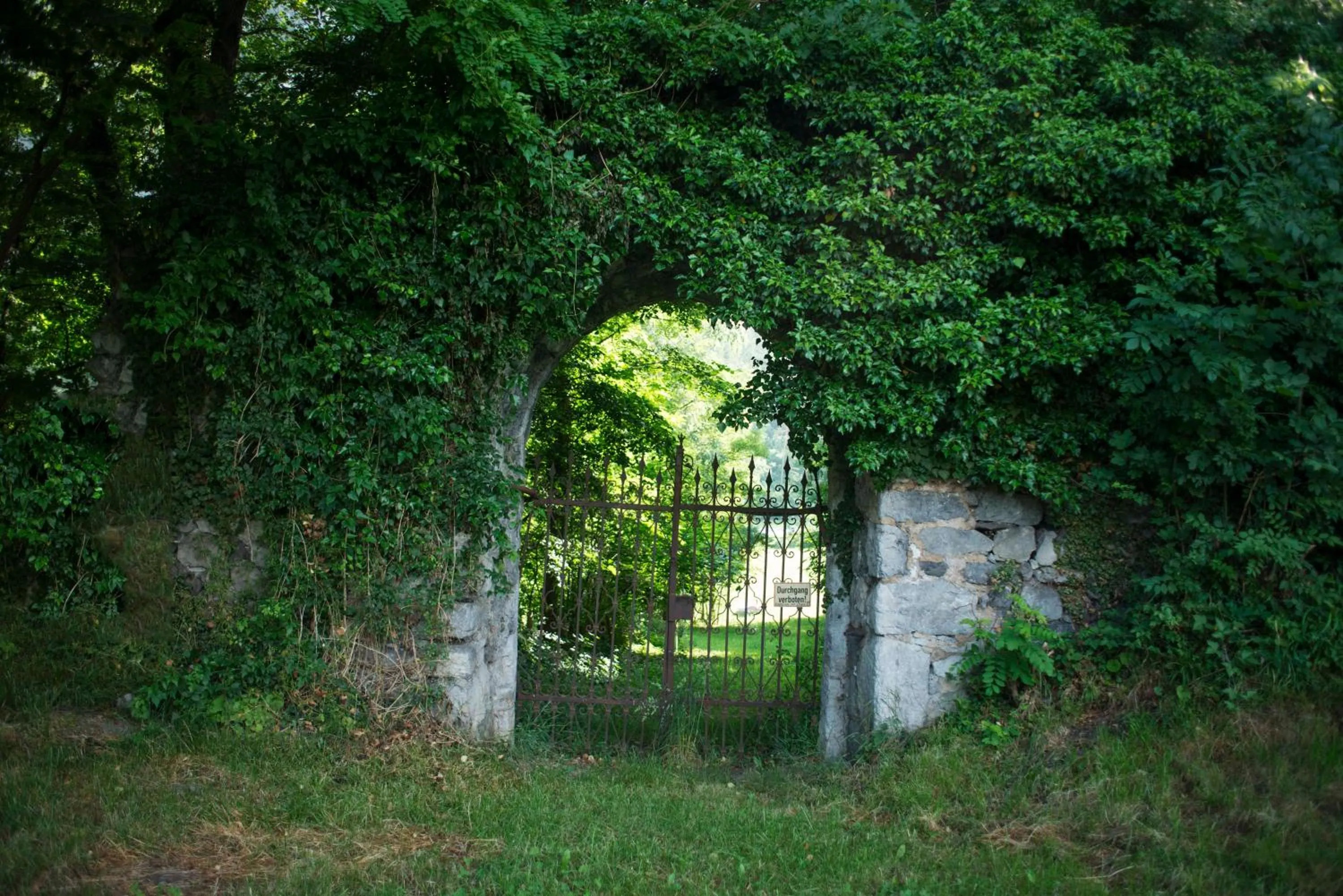 Natural landscape in Café-Pension Margret