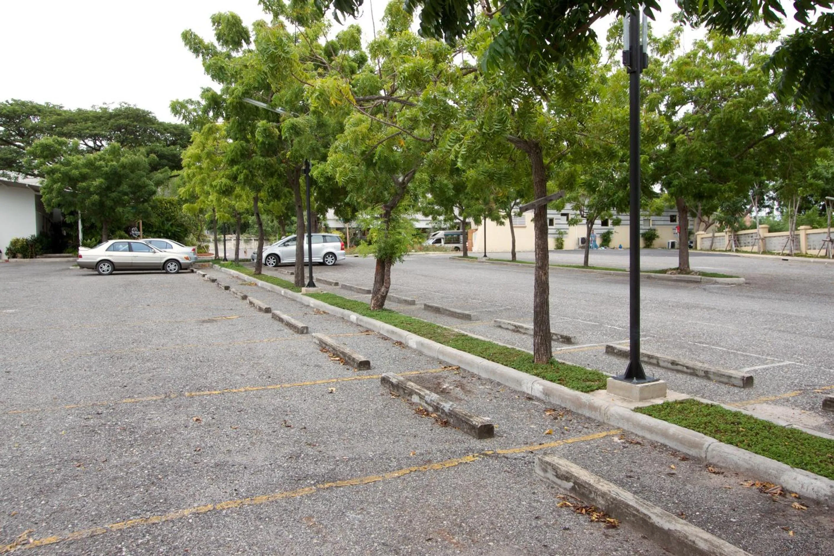 Garden in Charn Residence