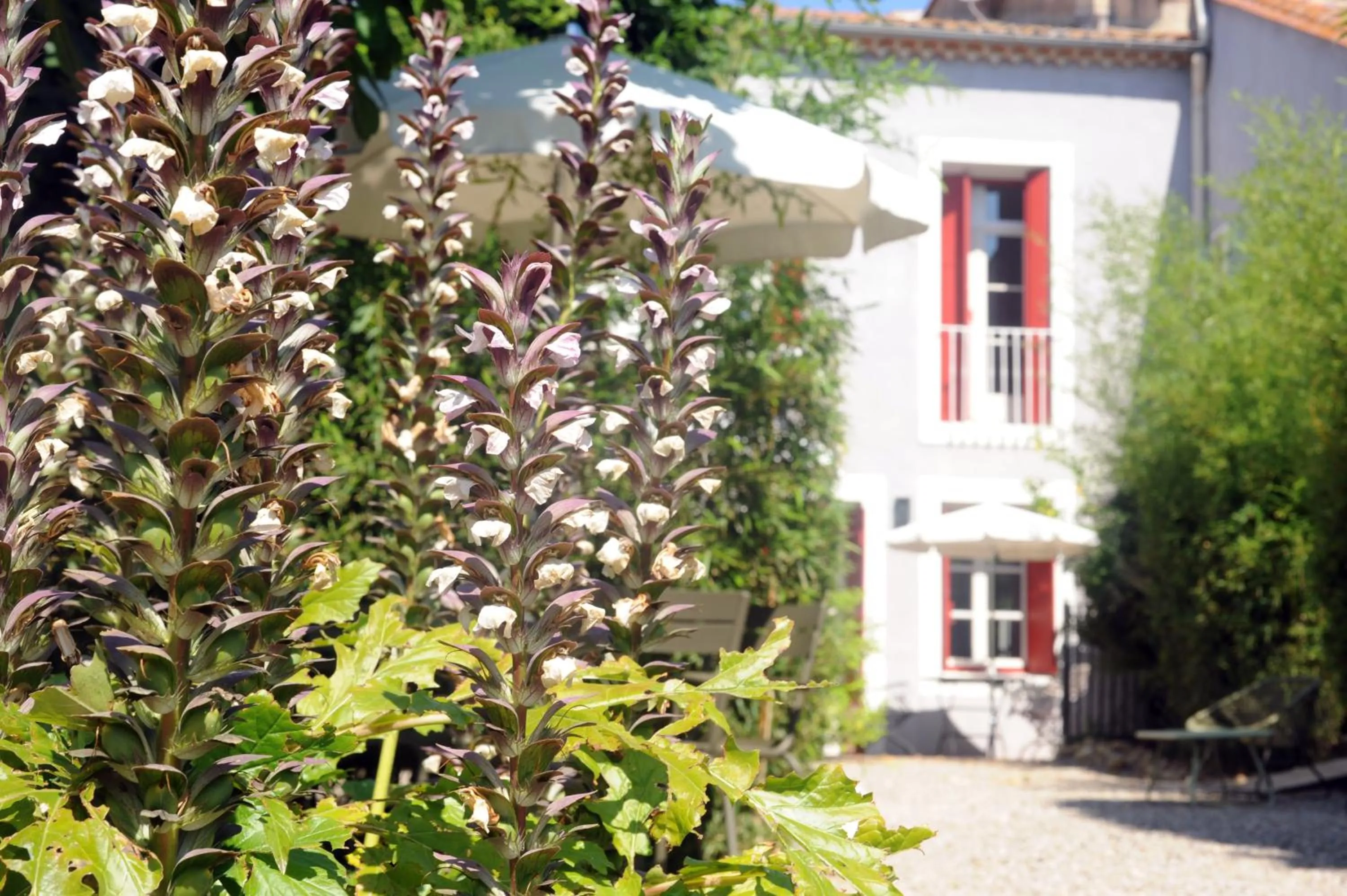 Day in Les Chambres d'Andrea