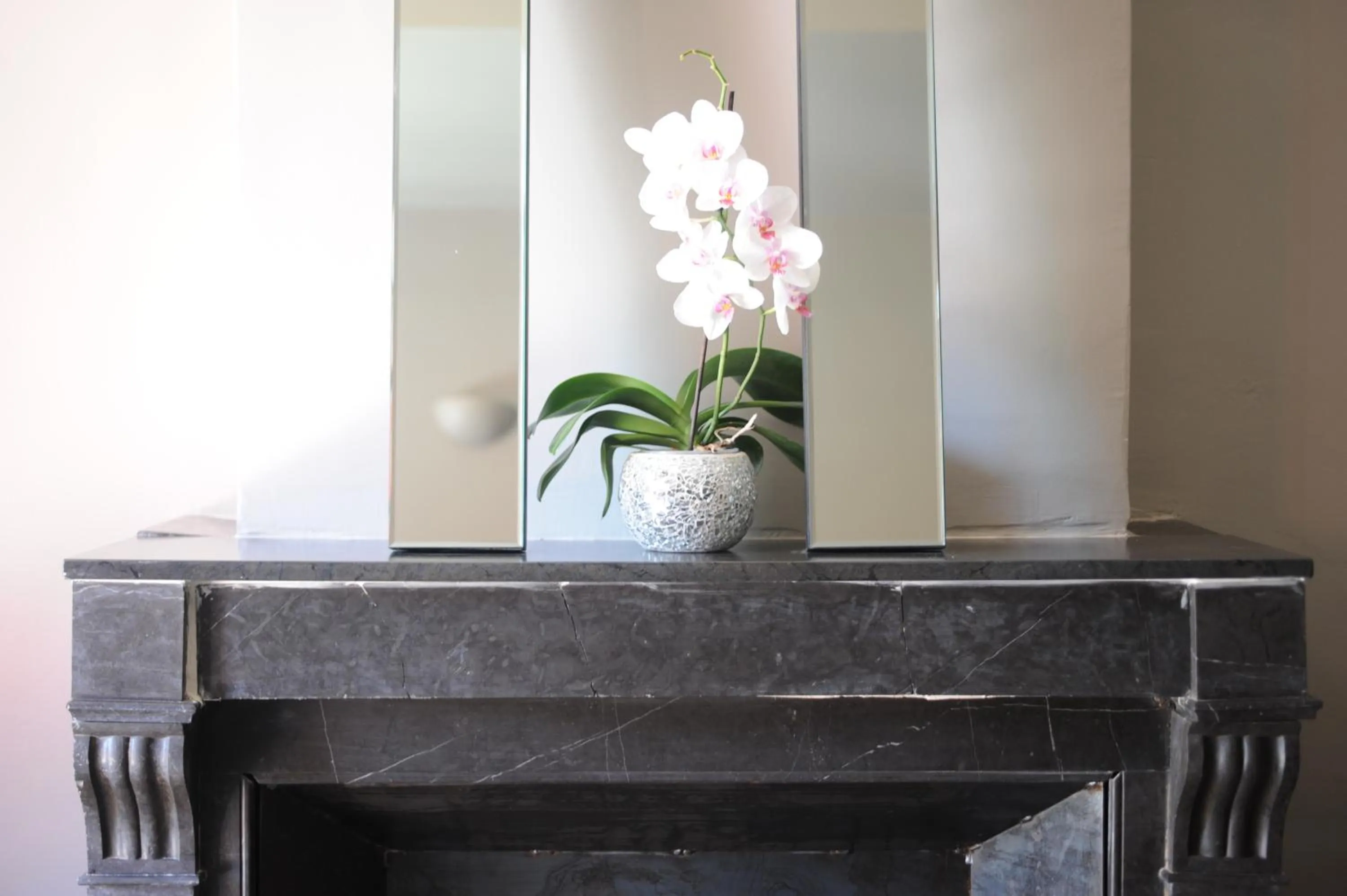 Decorative detail in Les Chambres d'Andrea