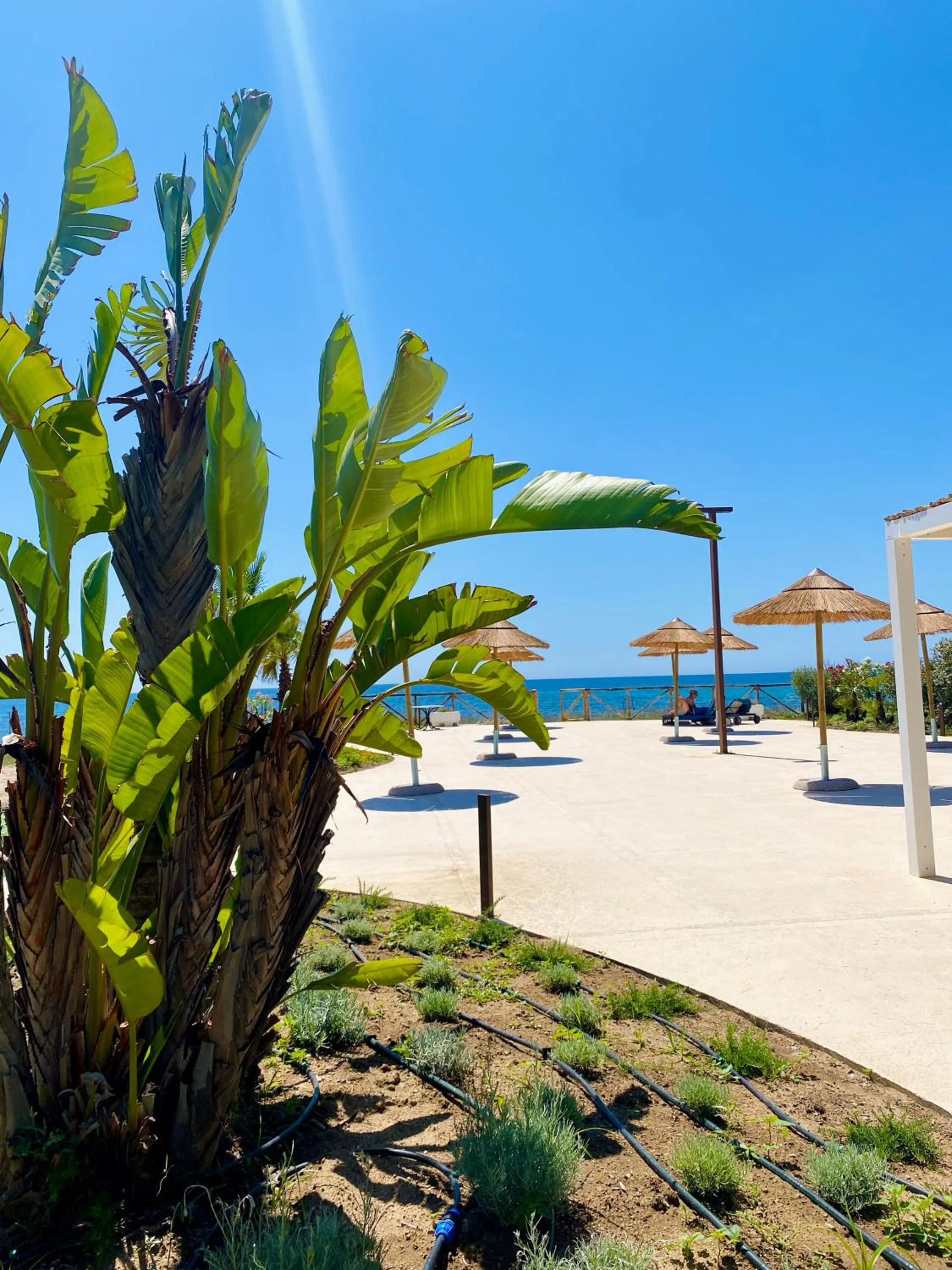 Solarium in Hotel Mare Pineta