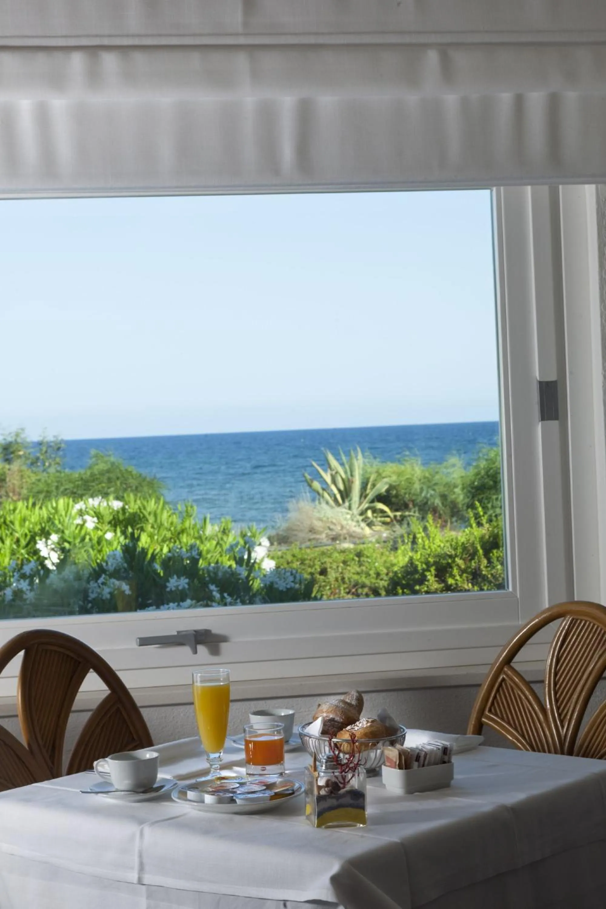 View (from property/room) in Hotel Mare Pineta