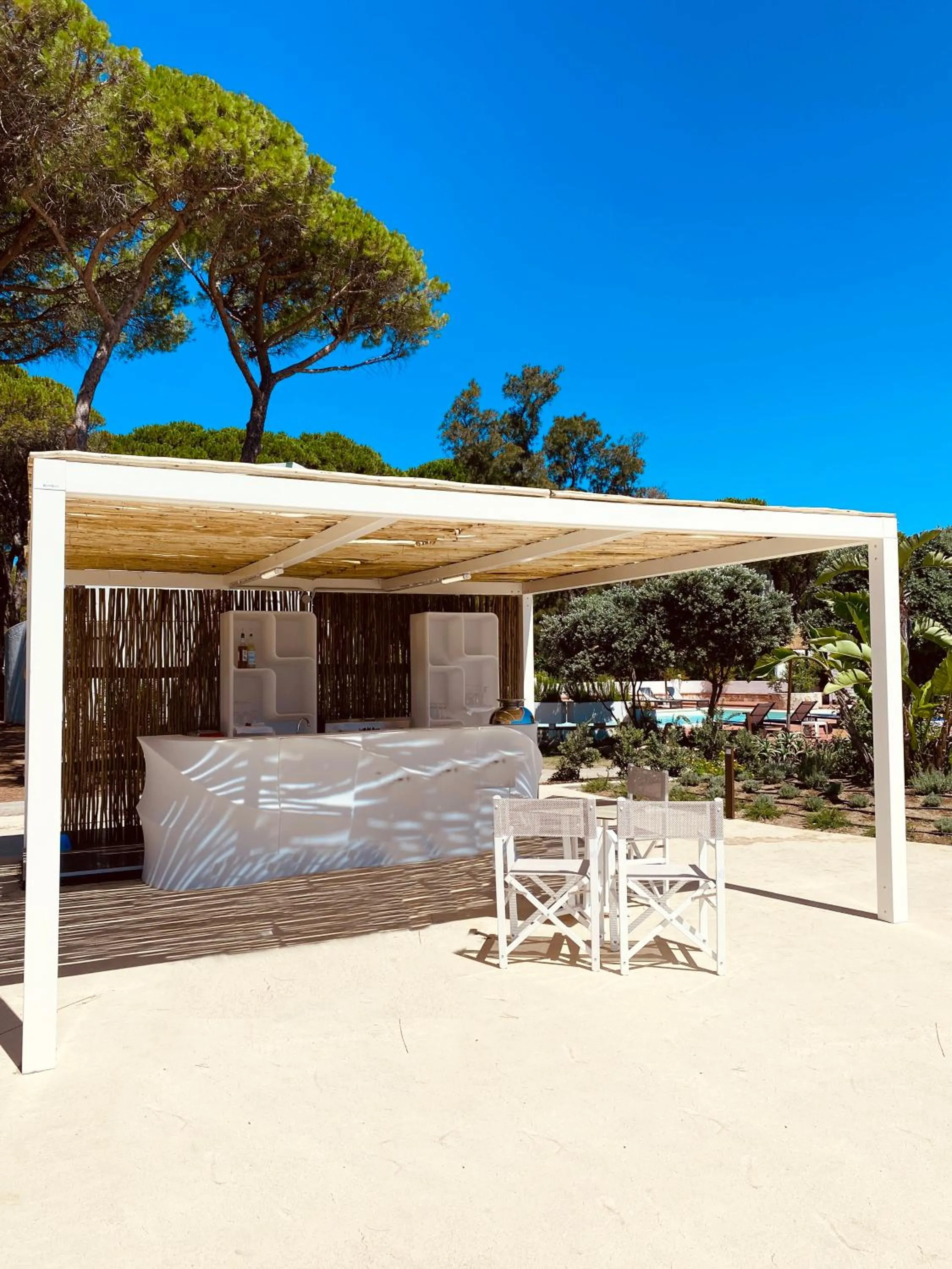 Lounge or bar in Hotel Mare Pineta