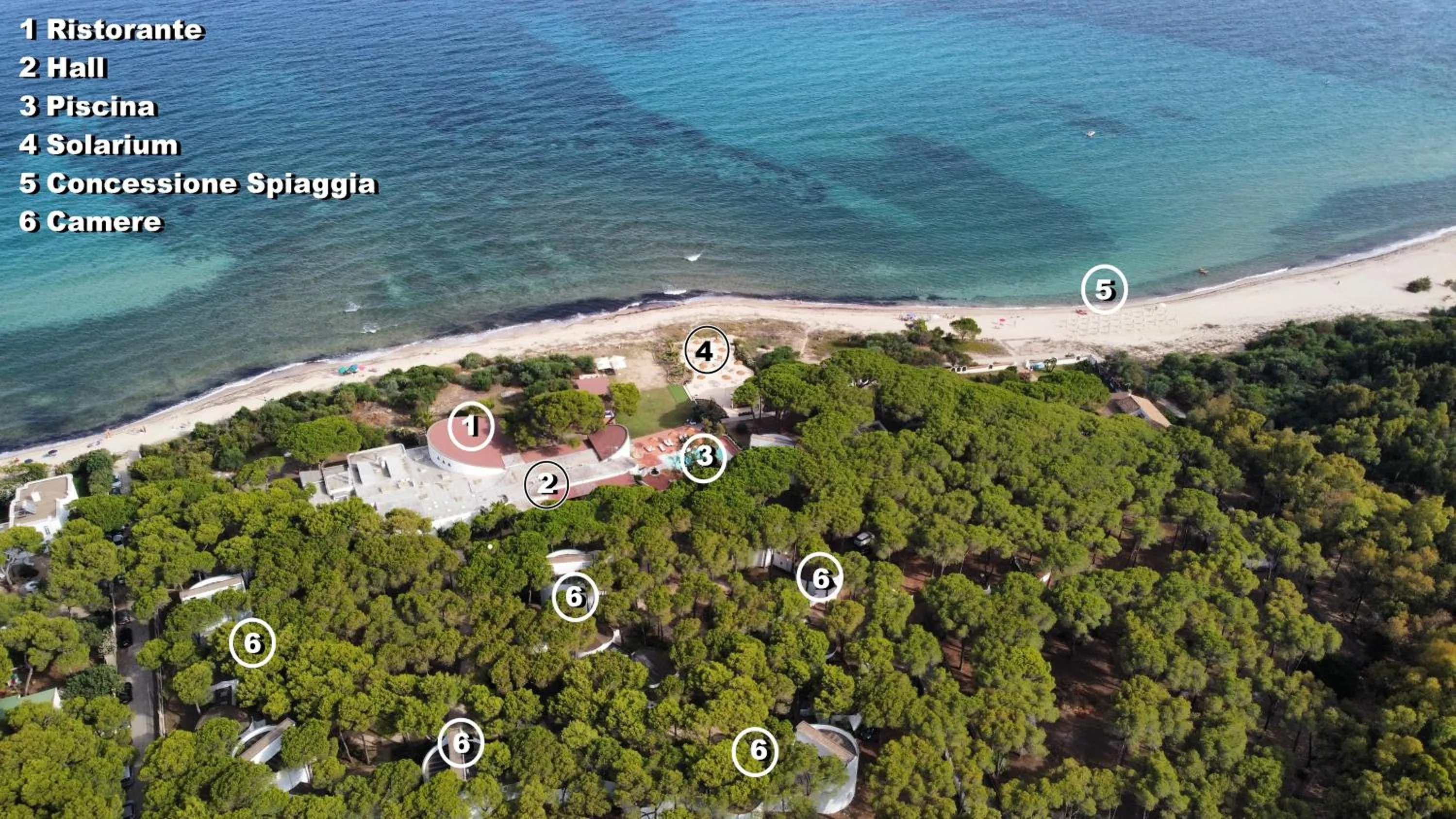Bird's eye view in Hotel Mare Pineta