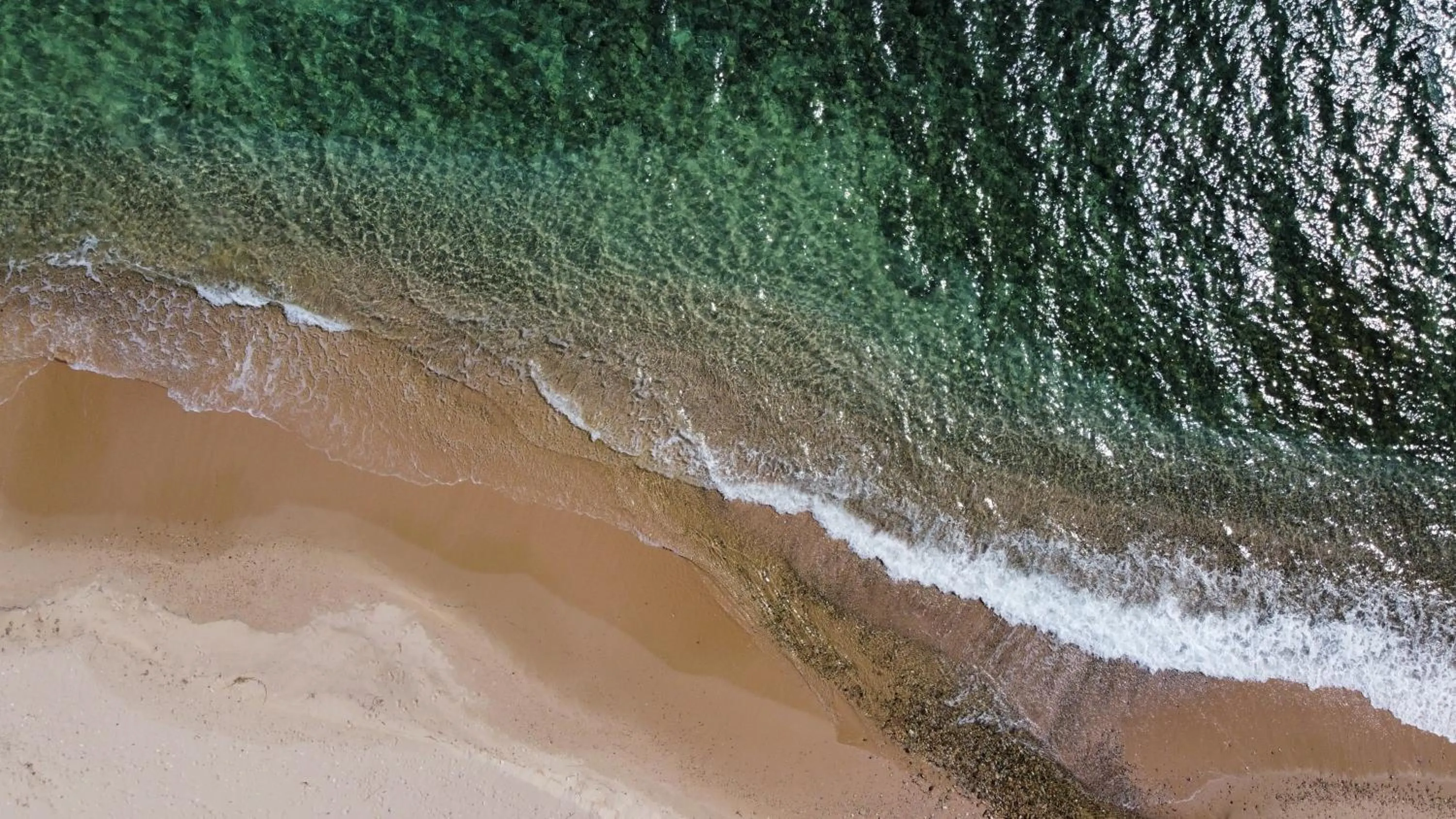 Beach in Hotel Mare Pineta