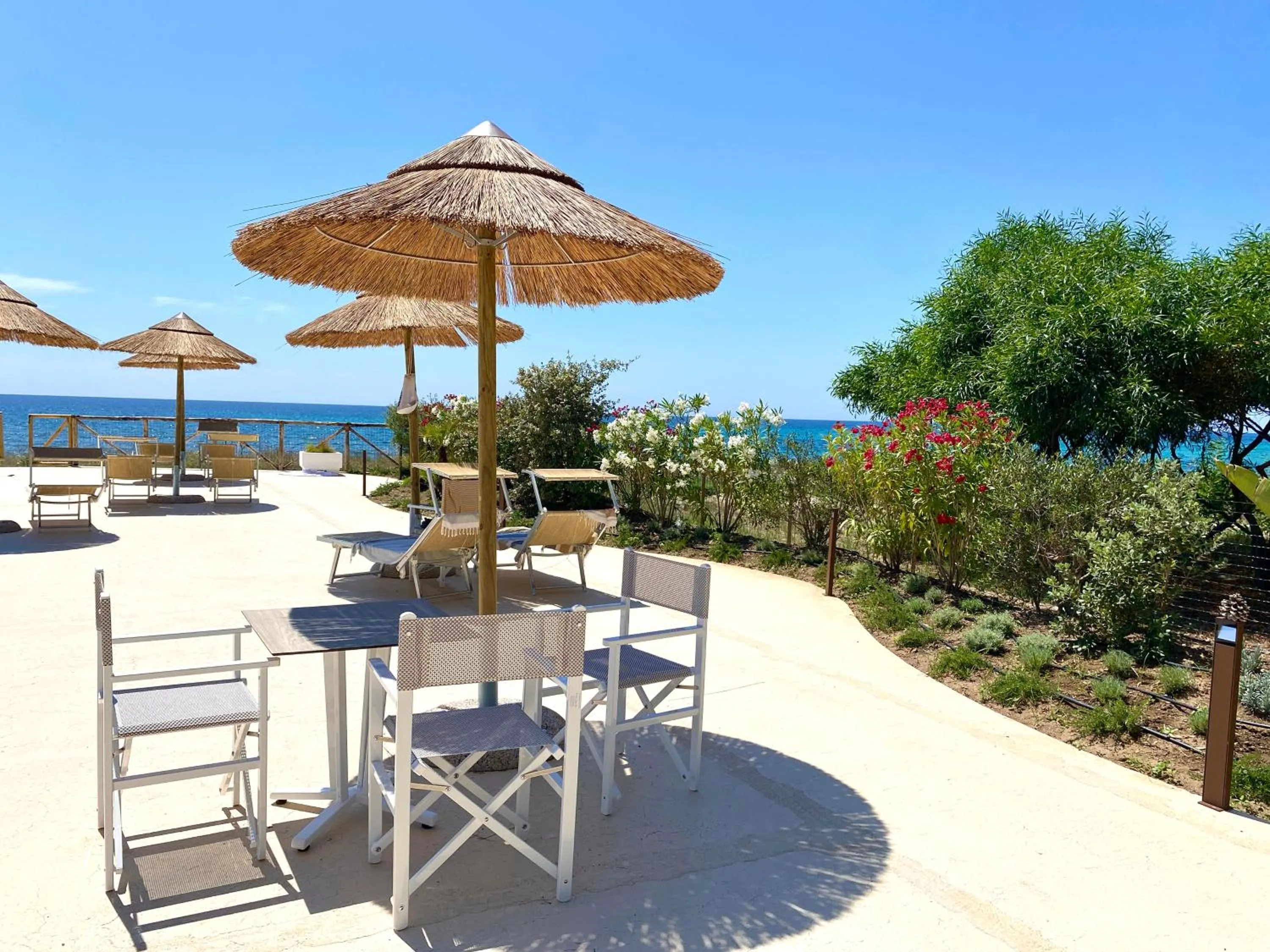 Solarium in Hotel Mare Pineta